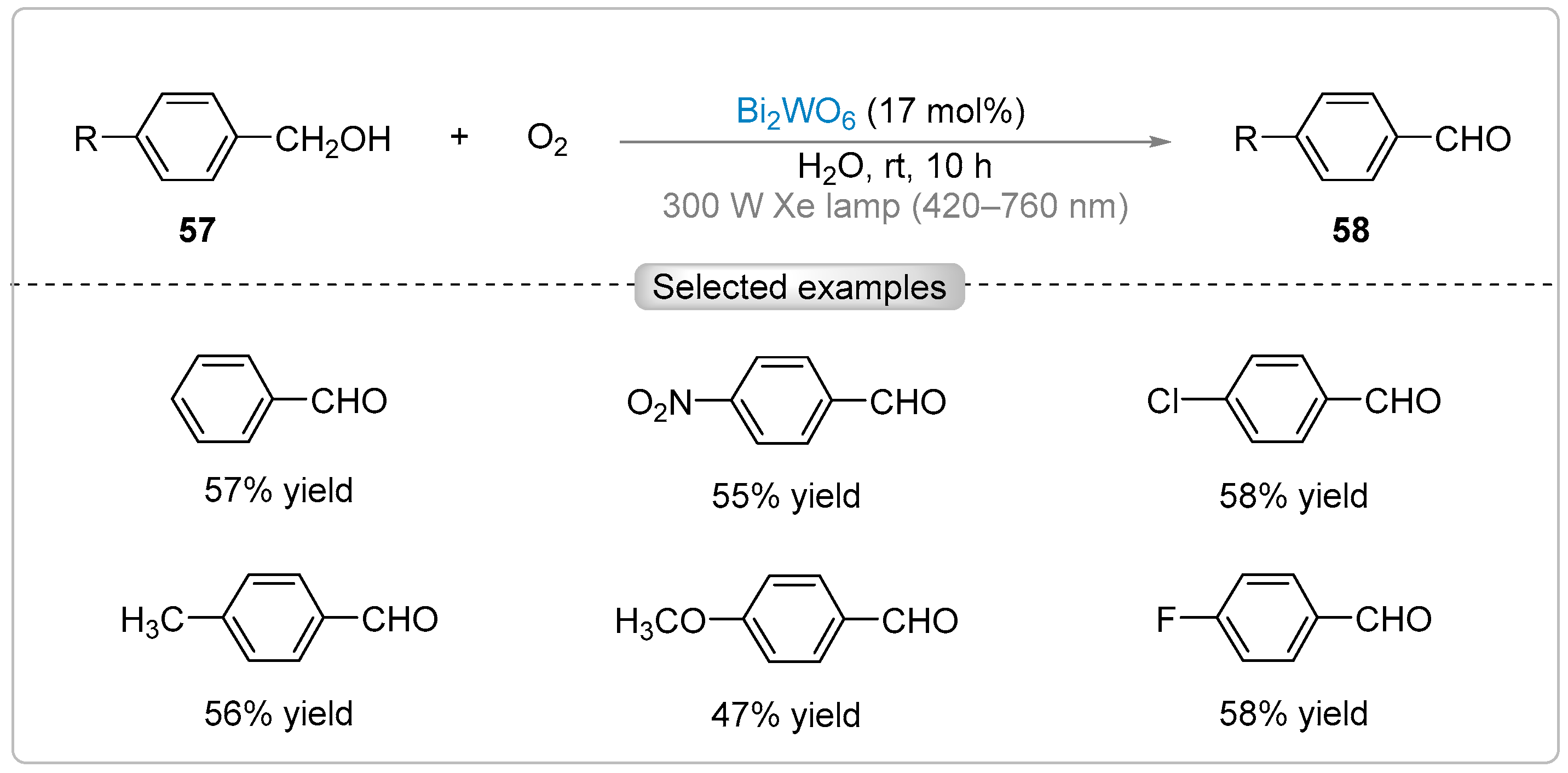 Catalysts 15 00135 sch011