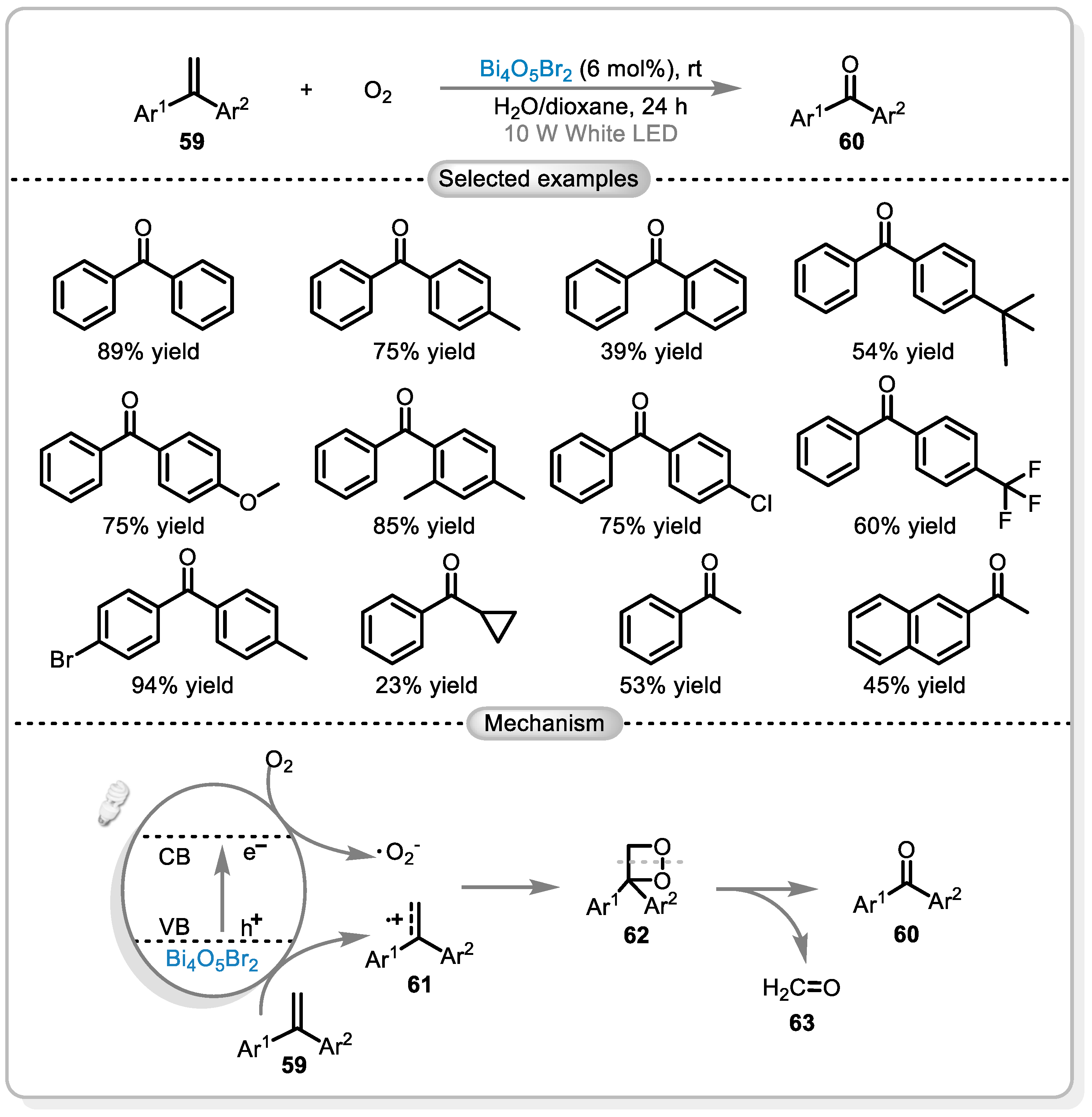 Catalysts 15 00135 sch012