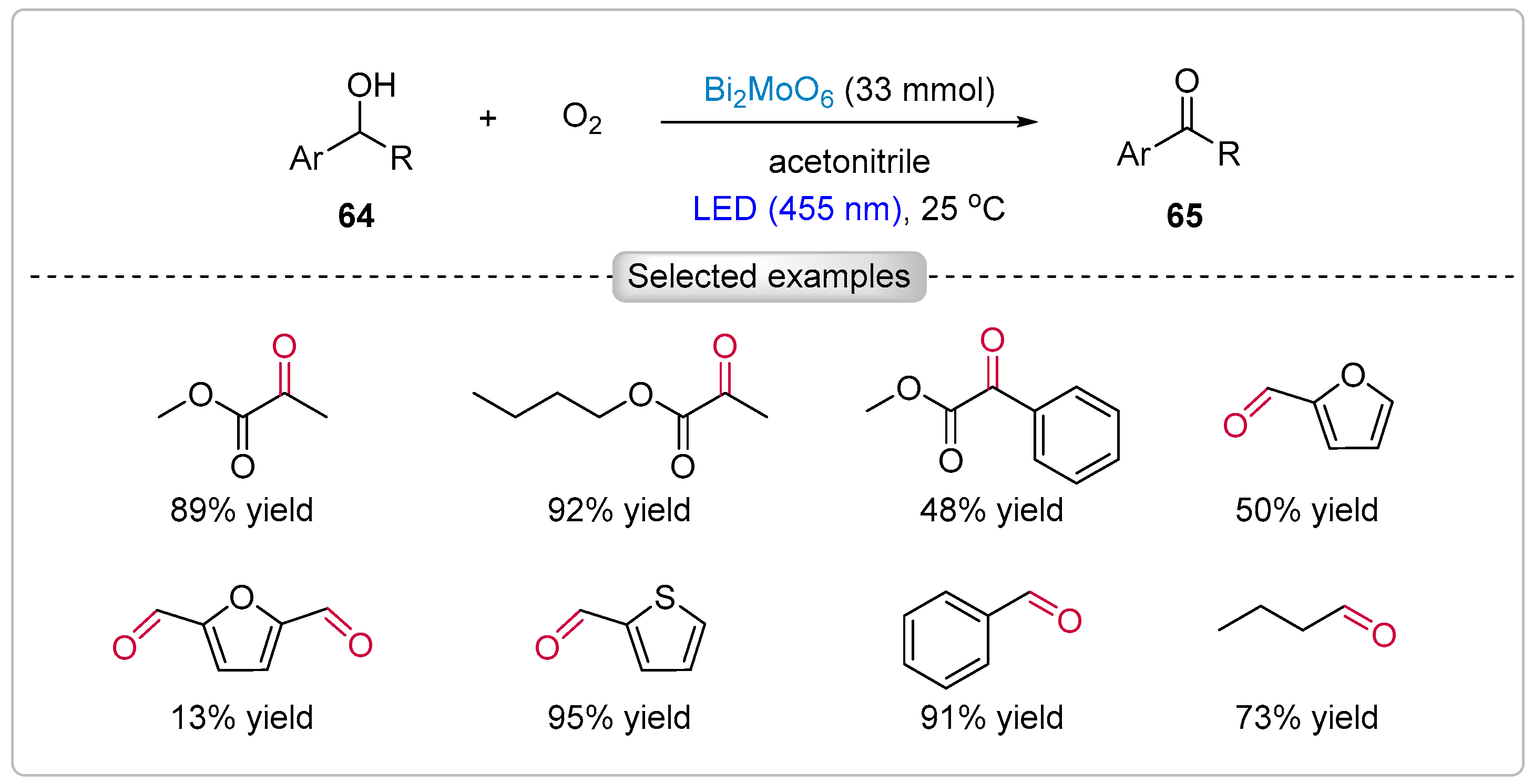 Catalysts 15 00135 sch013