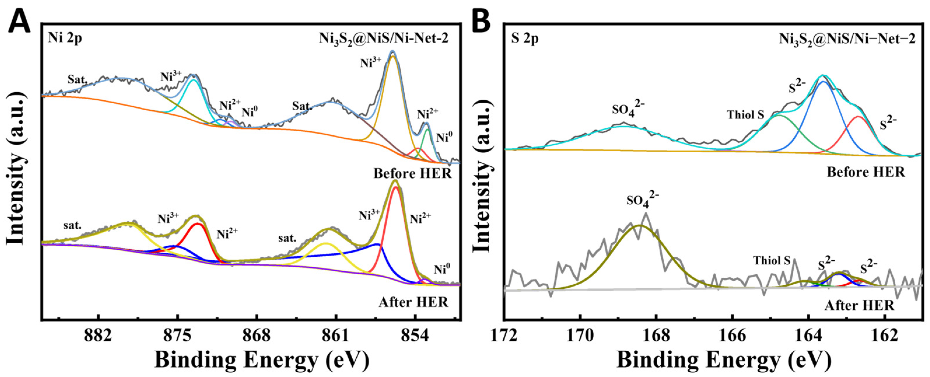 Catalysts 15 00136 g009