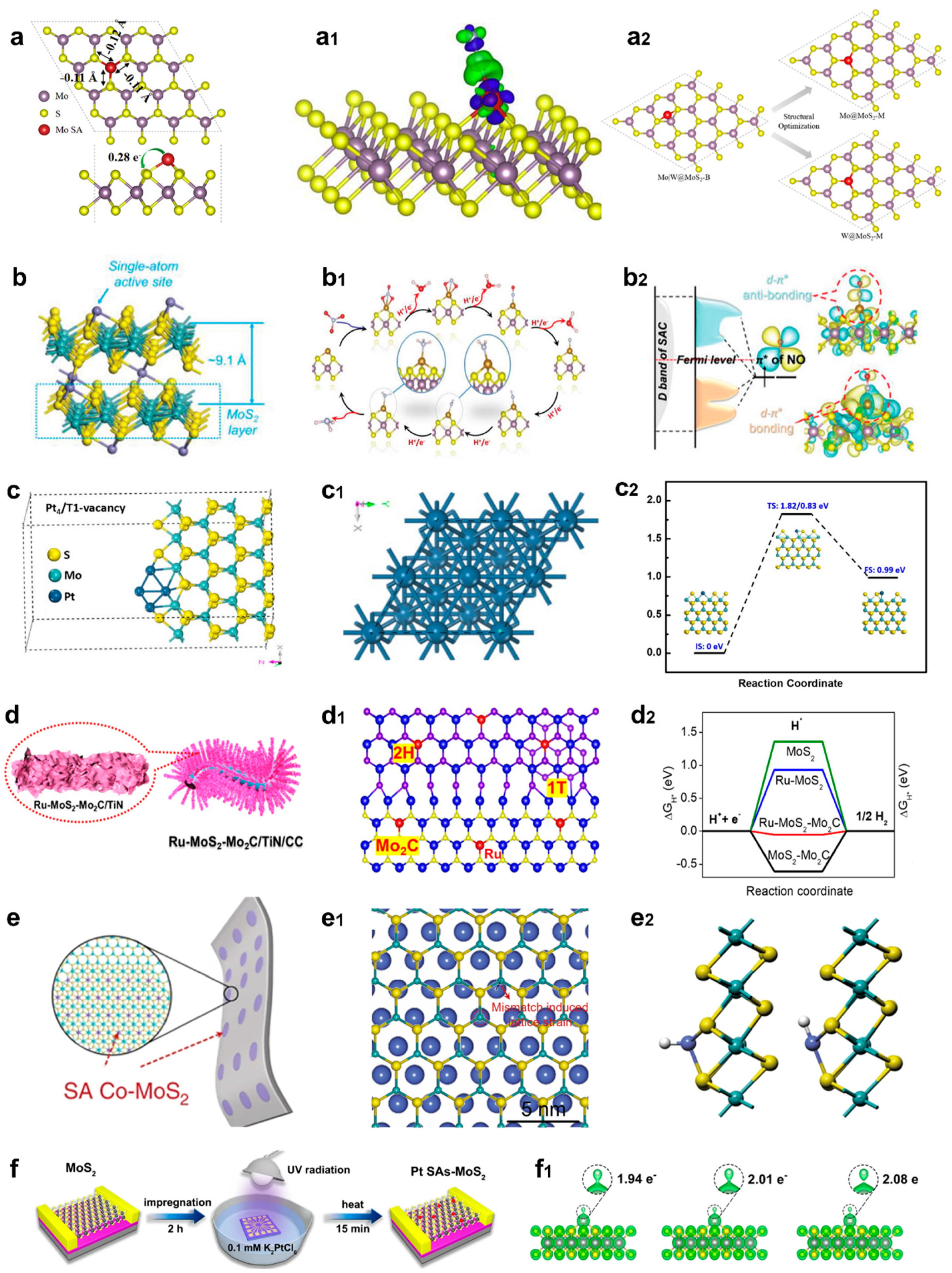 Catalysts 15 00137 g008