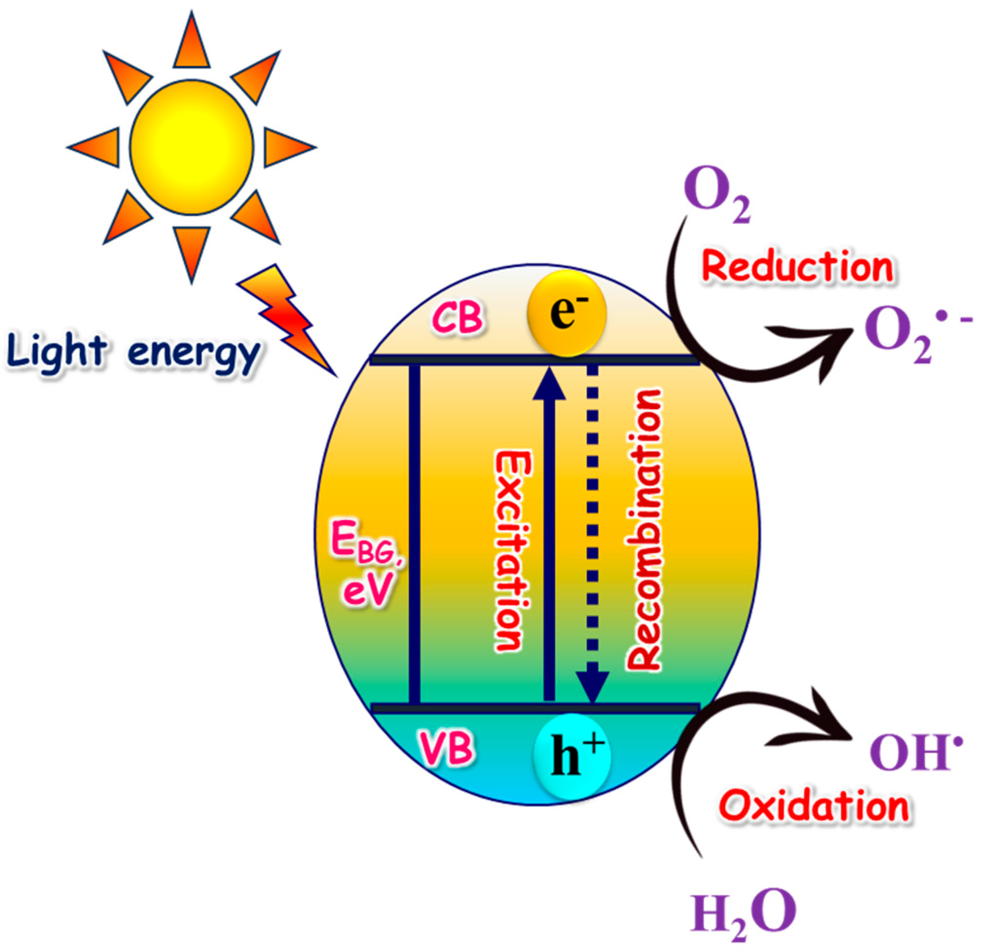 Catalysts 15 00138 g003
