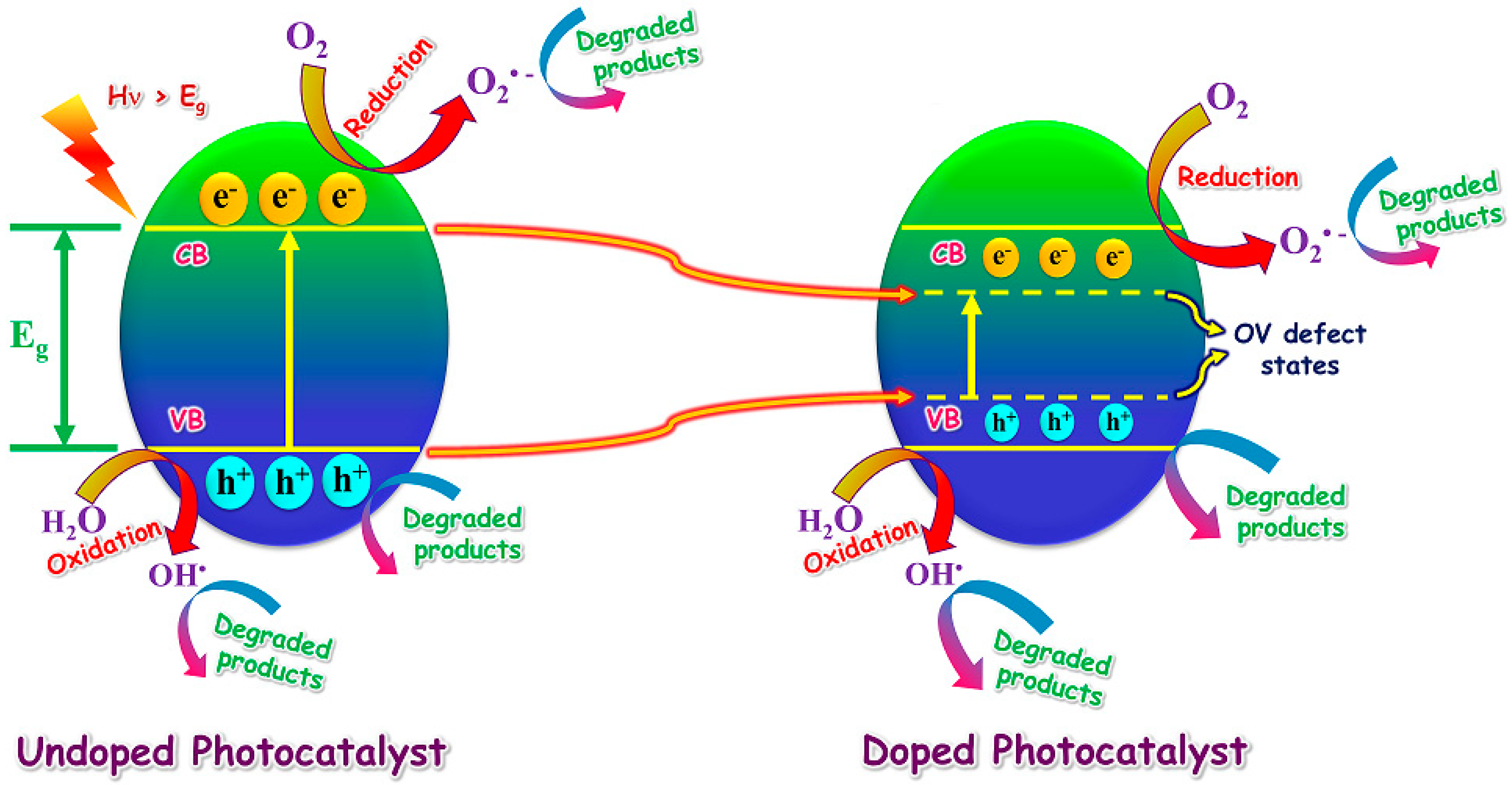 Catalysts 15 00138 g004