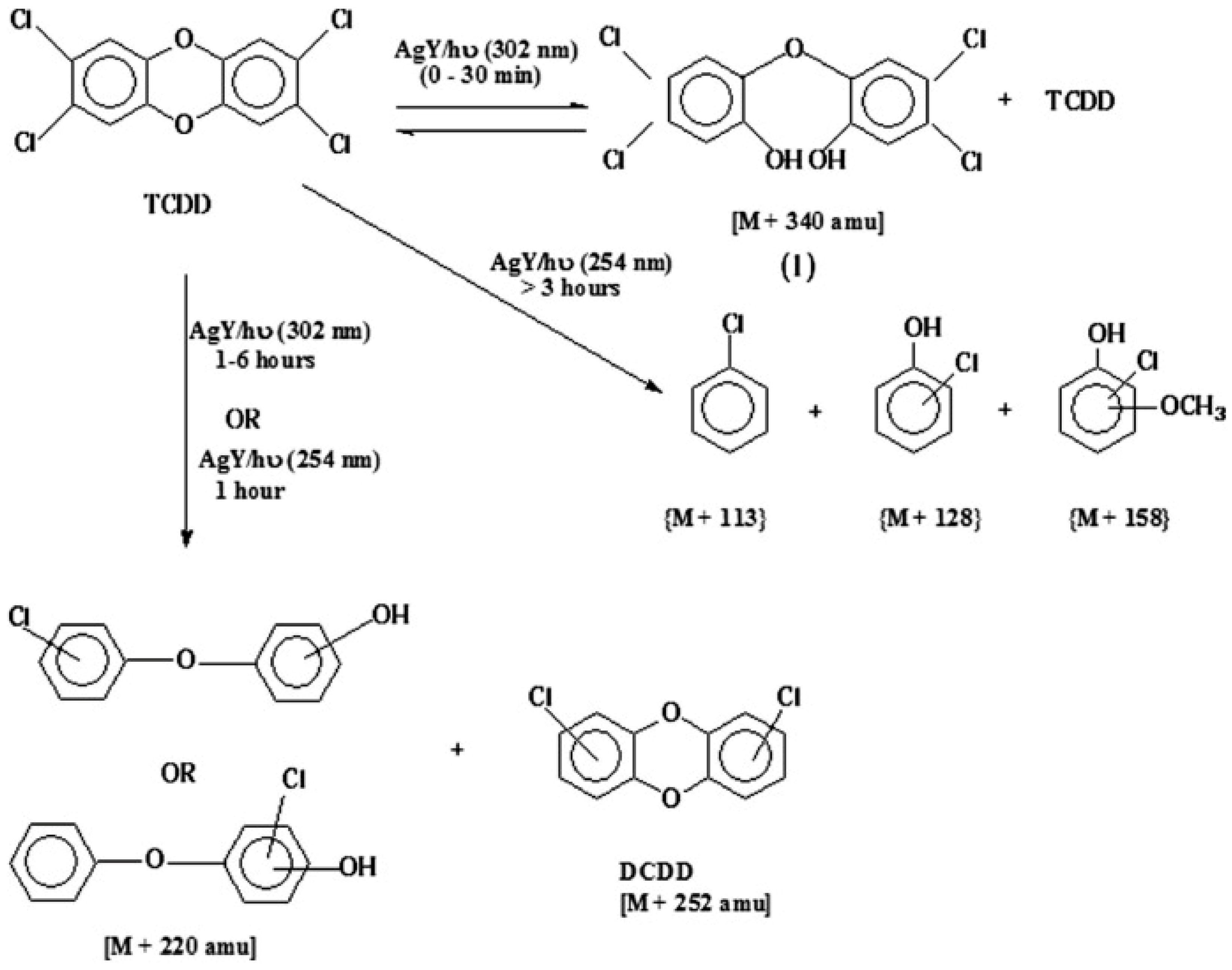Catalysts 15 00138 g009
