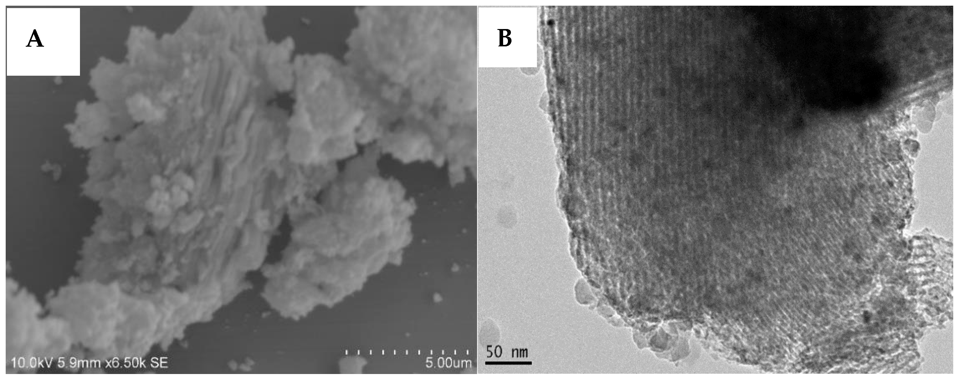 Catalysts 15 00142 g004