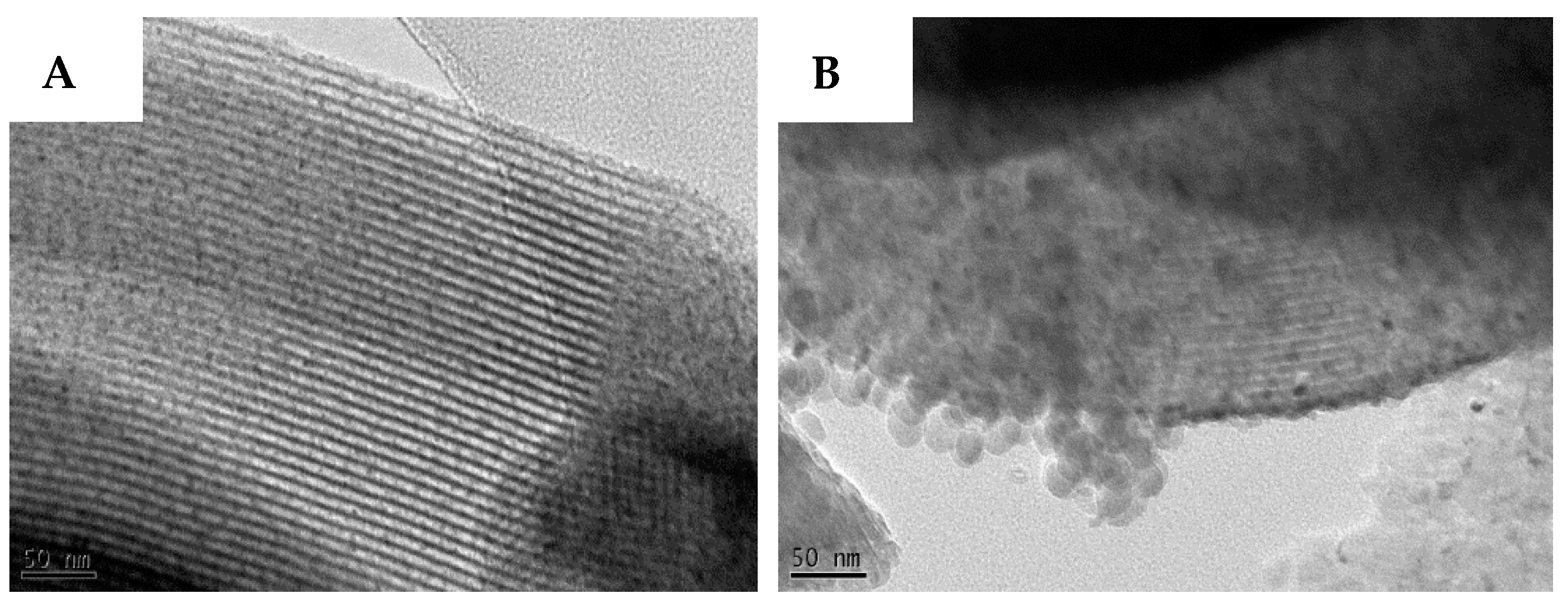 Catalysts 15 00142 g014