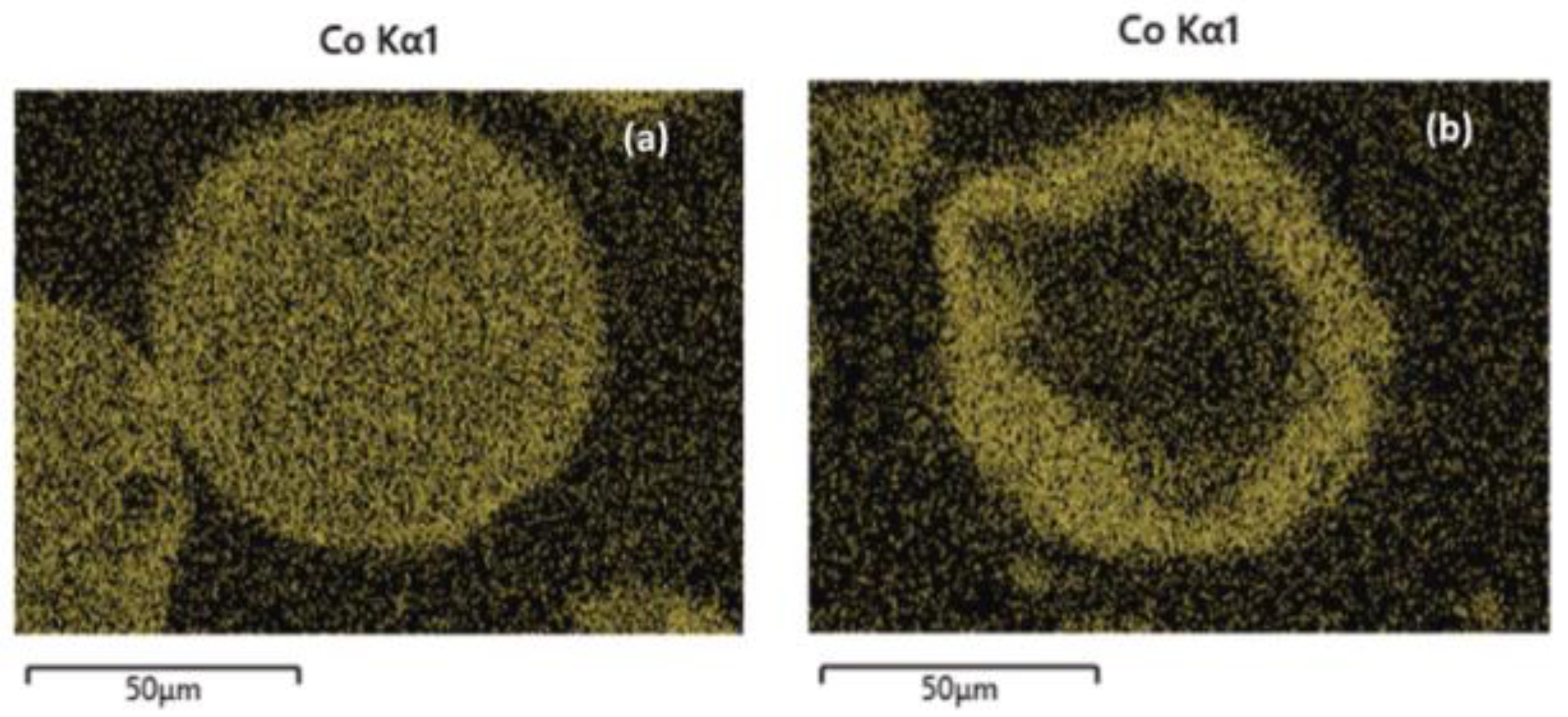 Catalysts 15 00145 g008