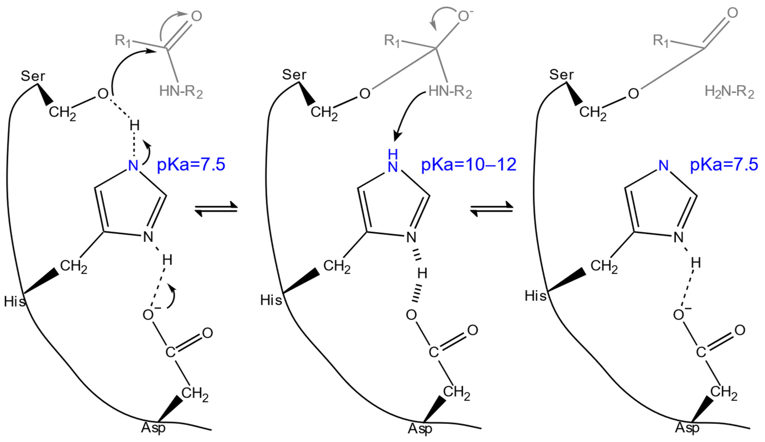 Catalysts 15 00147 g002