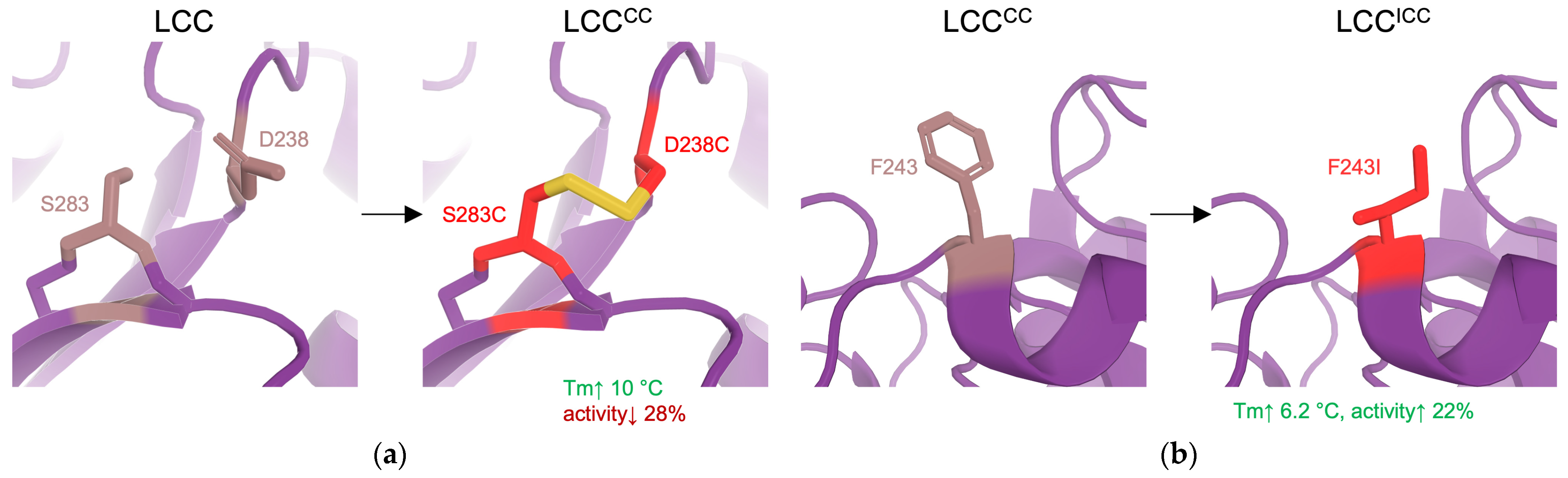 Catalysts 15 00147 g004a