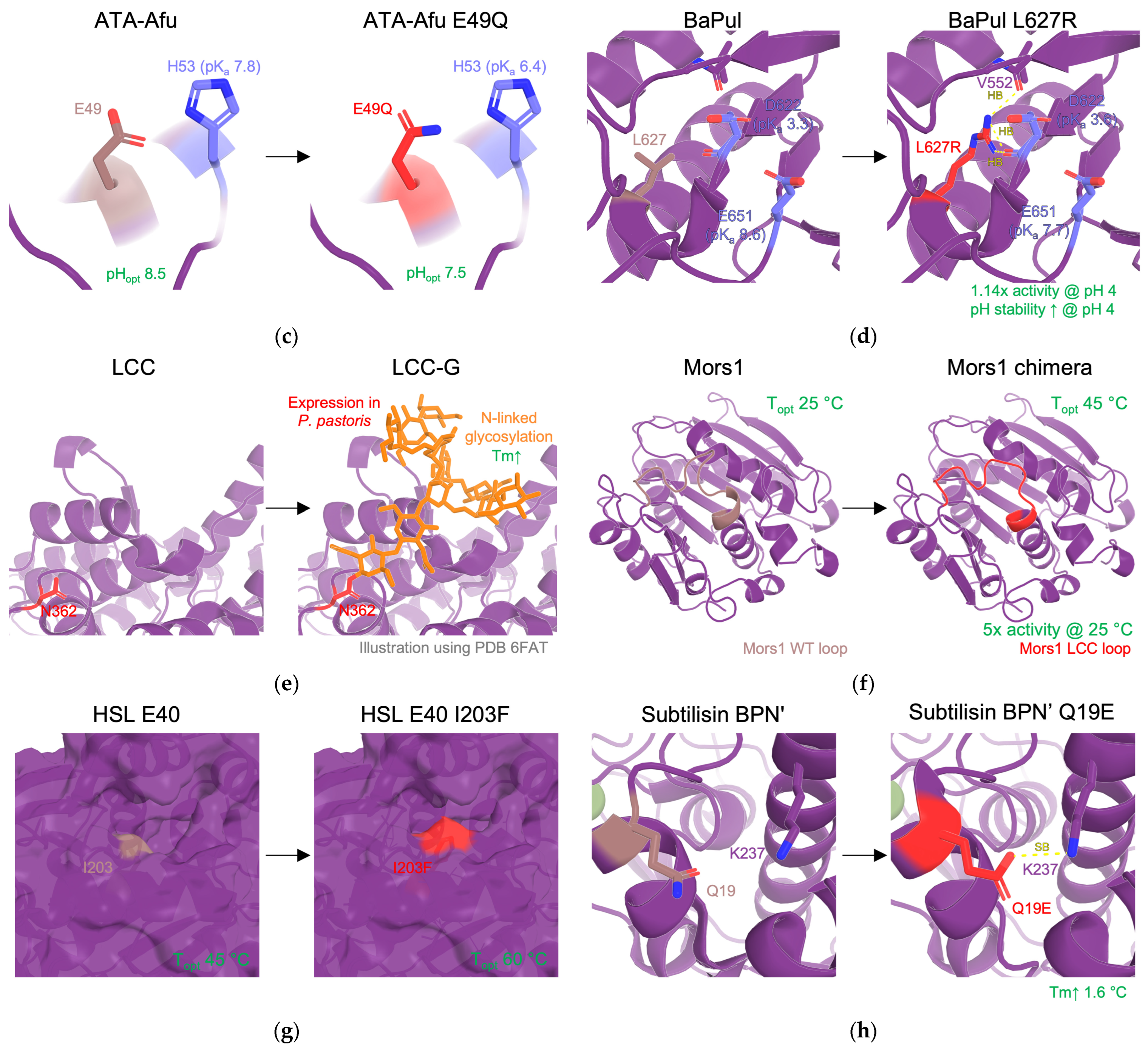 Catalysts 15 00147 g004b