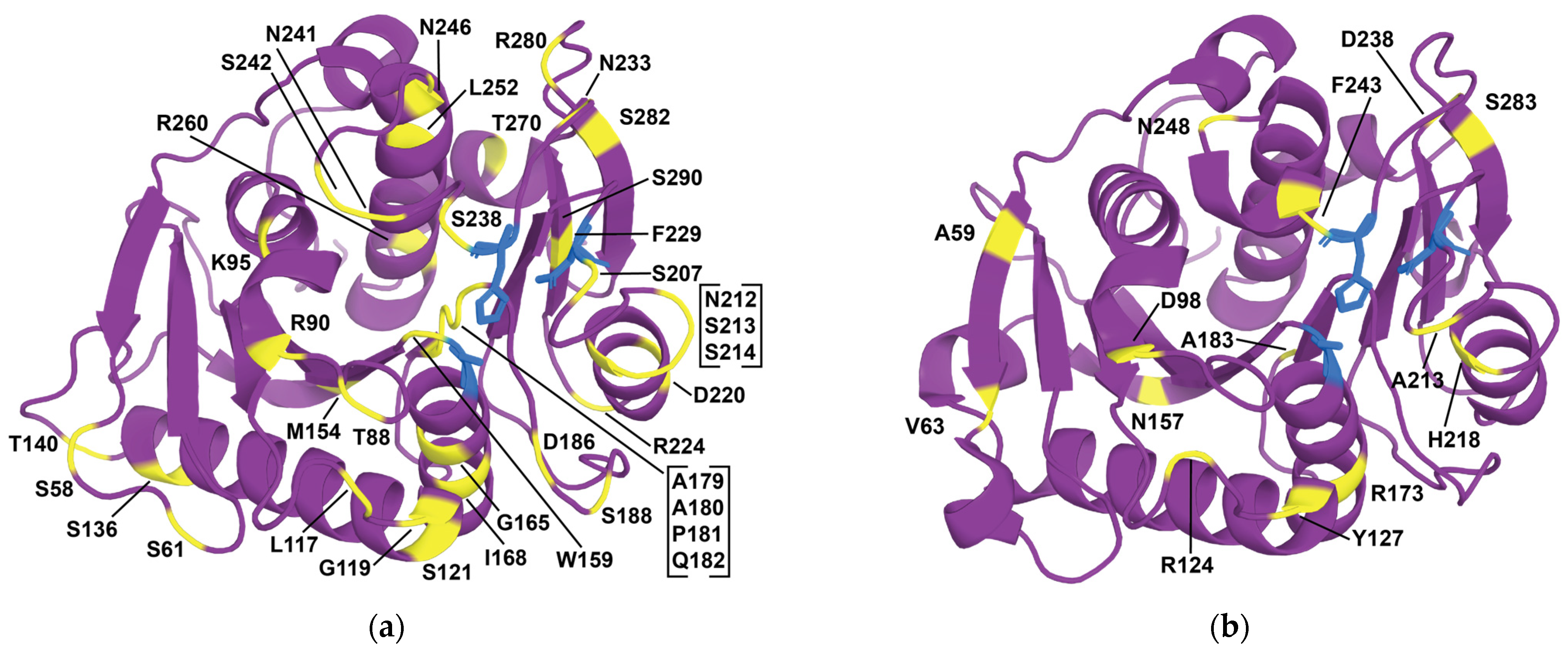 Catalysts 15 00147 g006