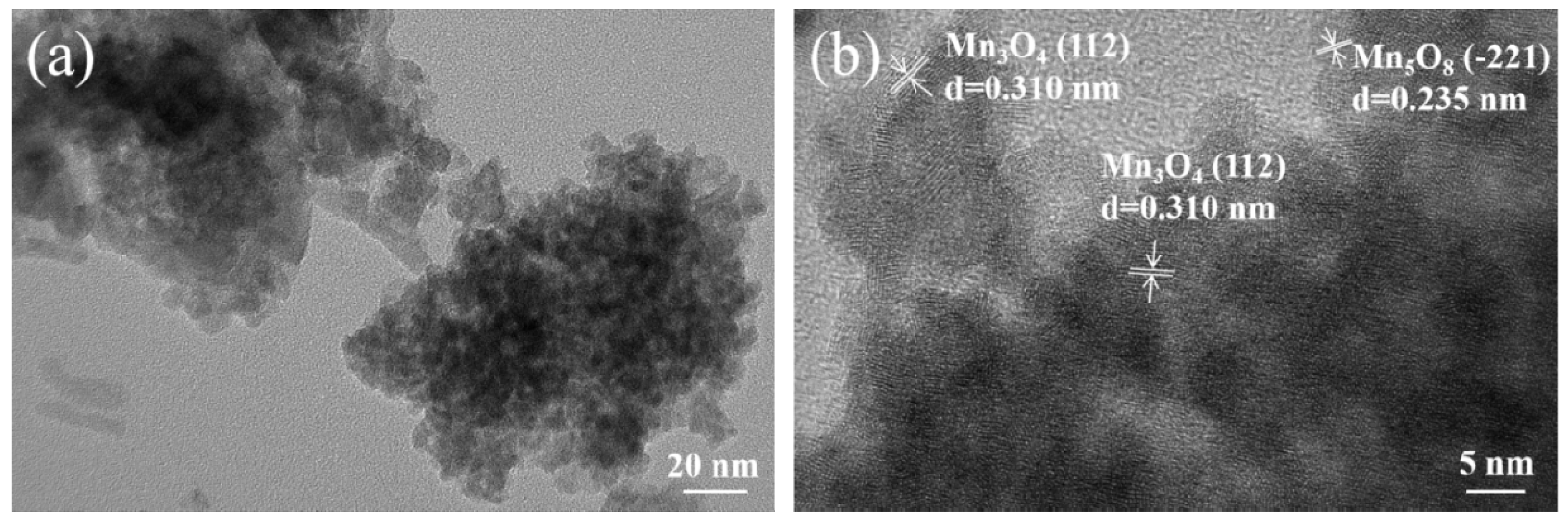 Catalysts 15 00149 g003