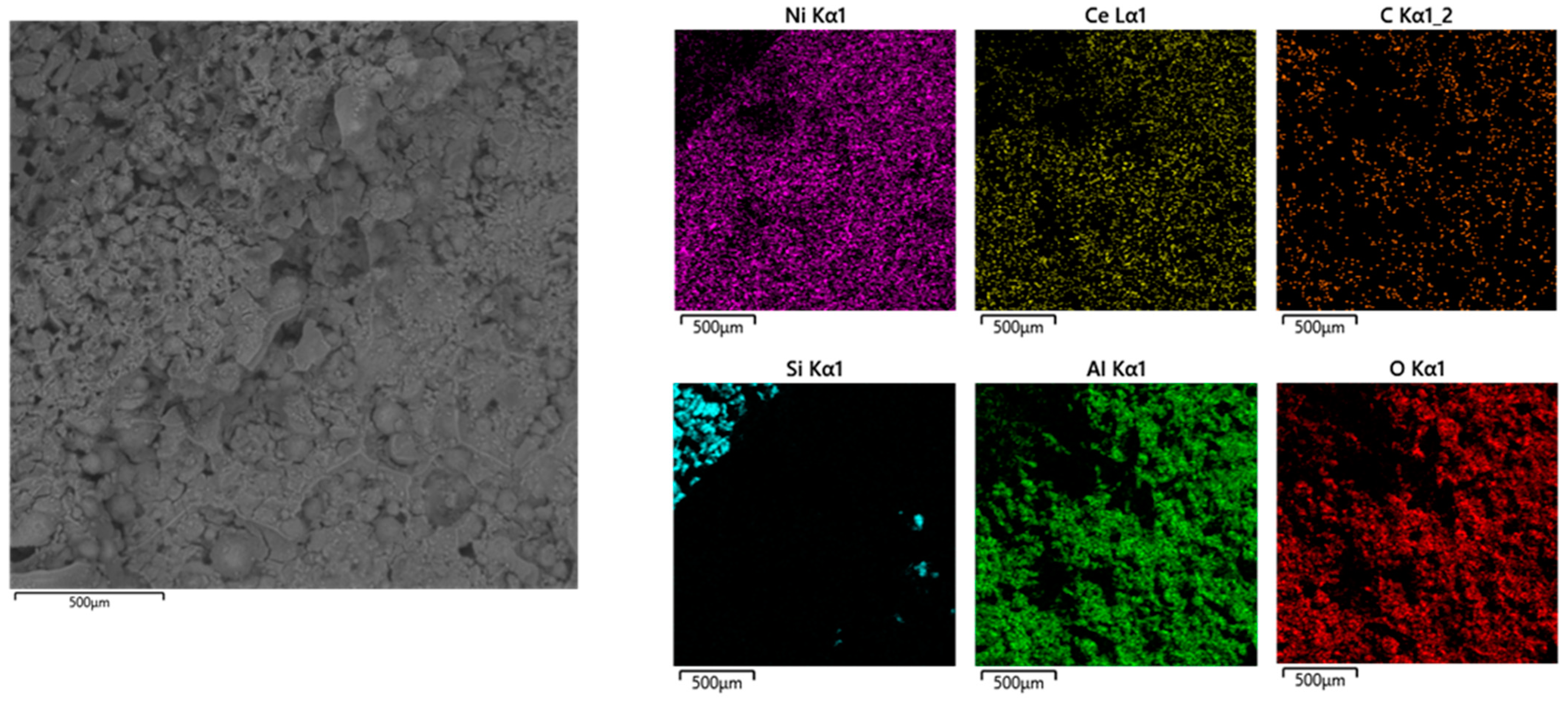 Catalysts 15 00152 g005