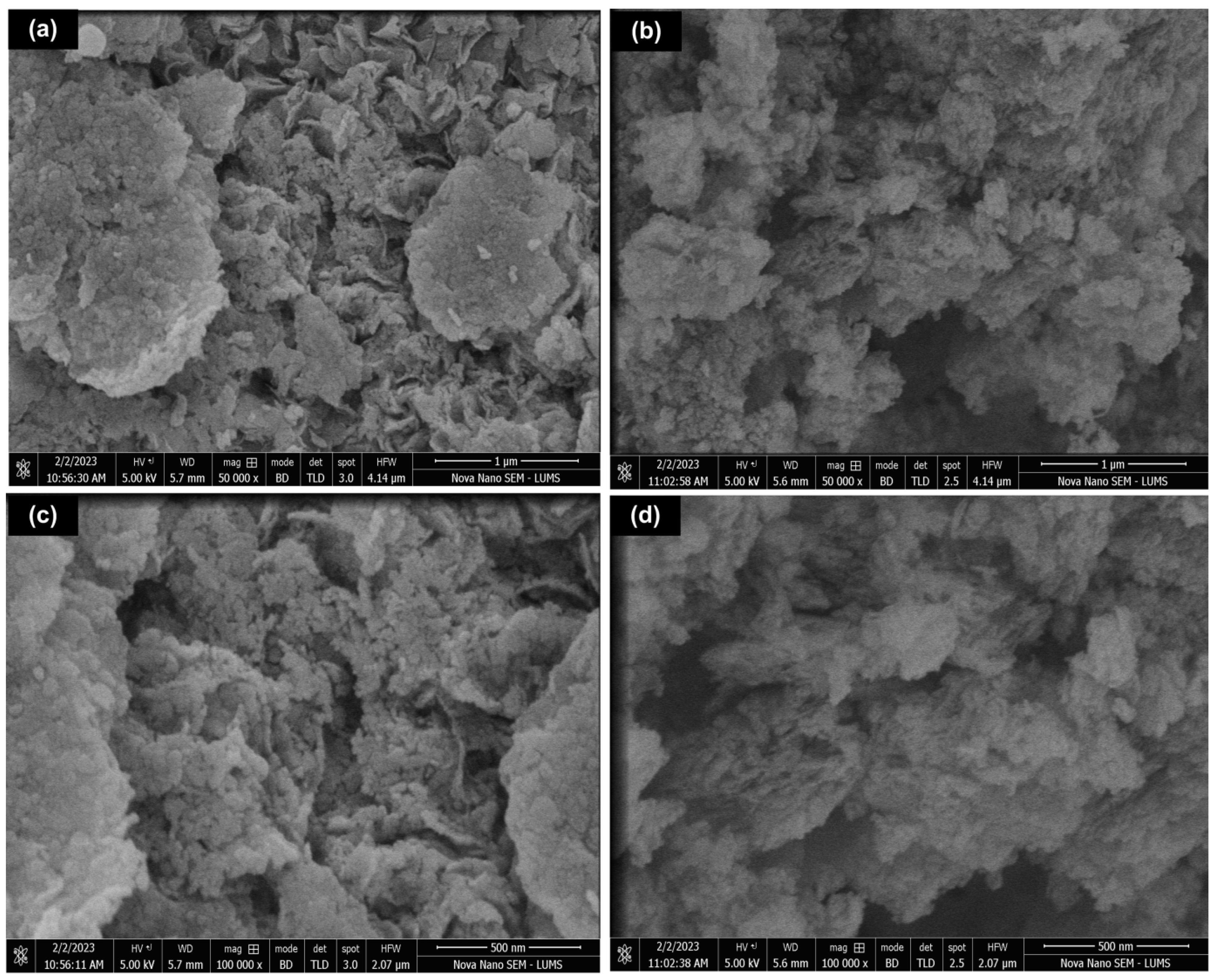 Catalysts 15 00154 g003