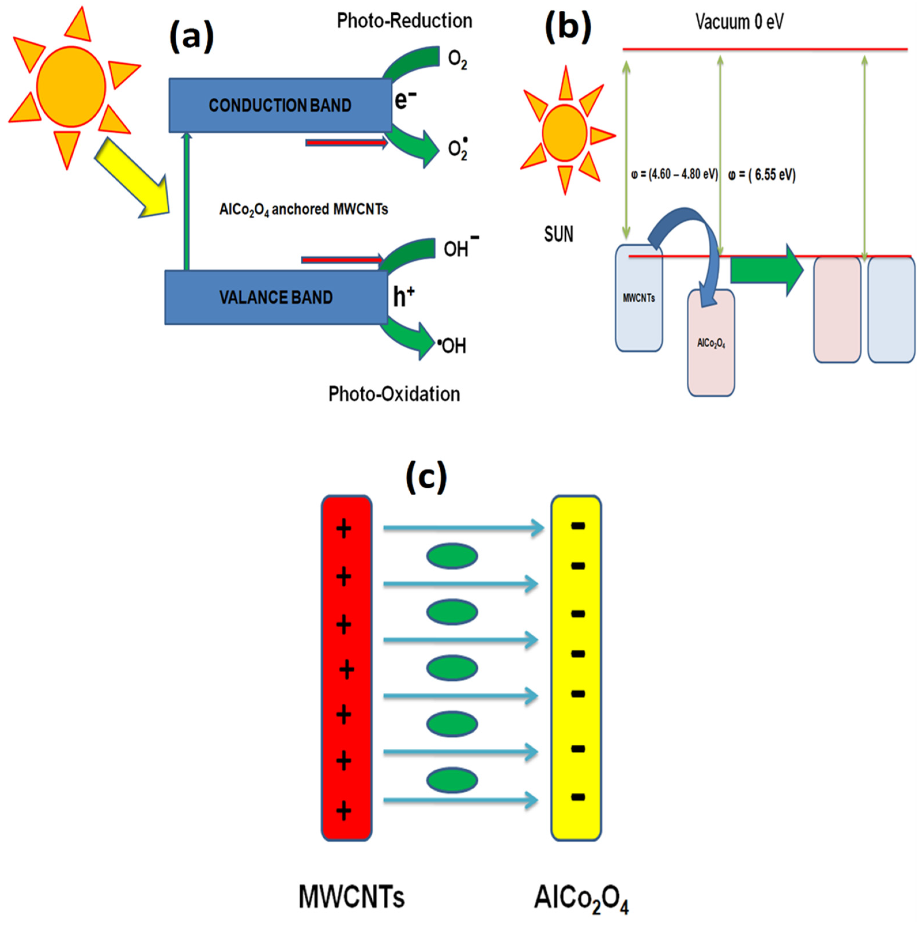 Catalysts 15 00154 g015