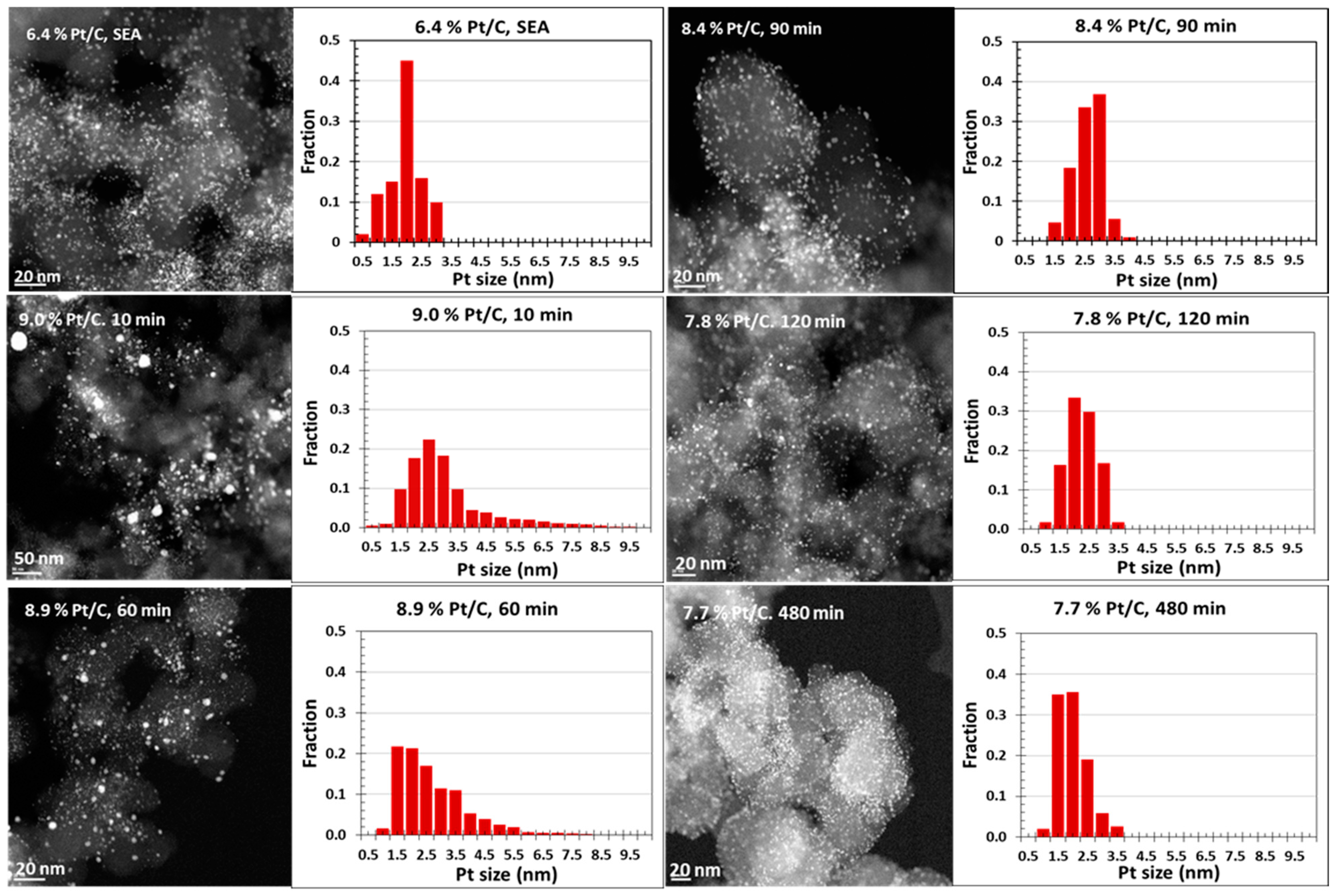 Catalysts 15 00156 g004