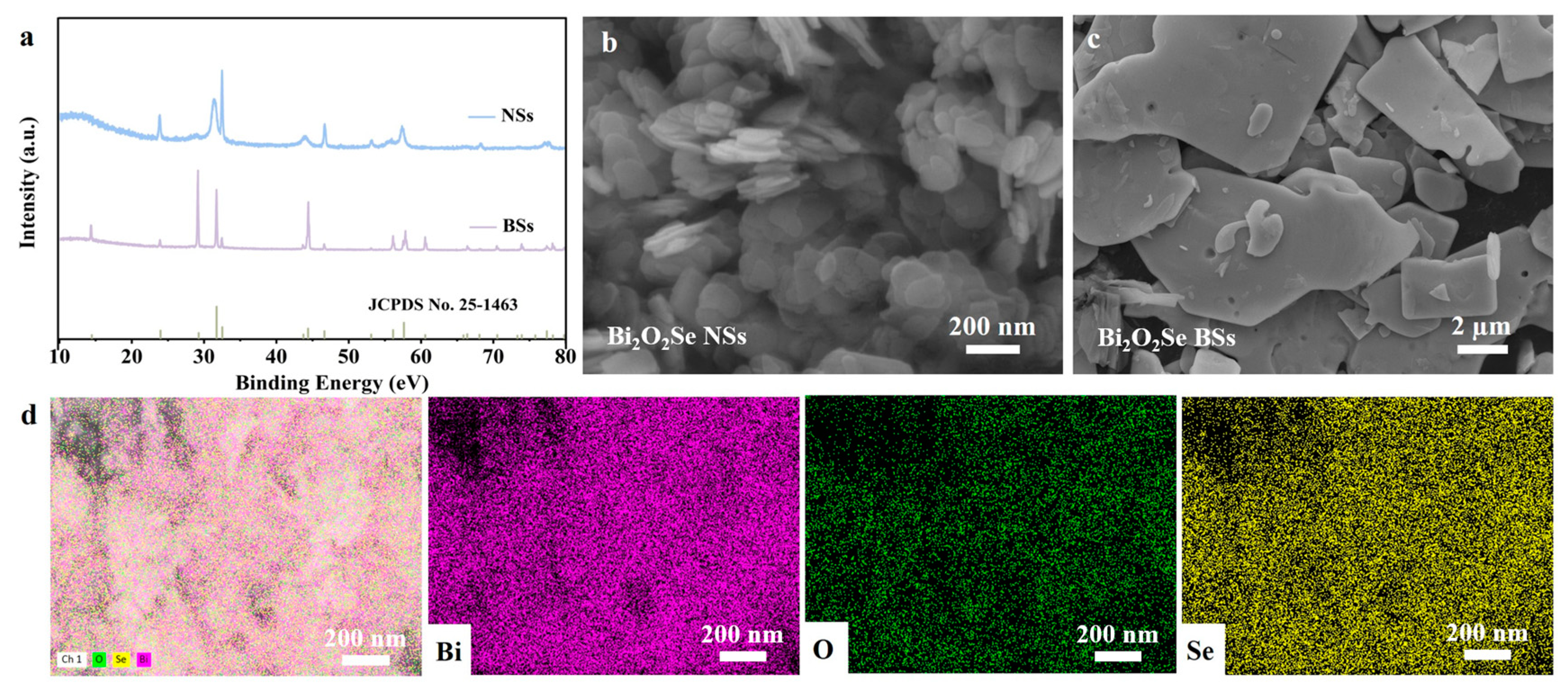 Catalysts 15 00157 g001