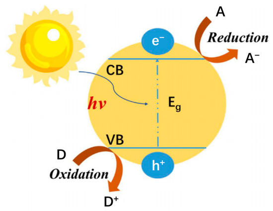A Mini-Review of Recent Progress in Zeolite-Based Catalysts for