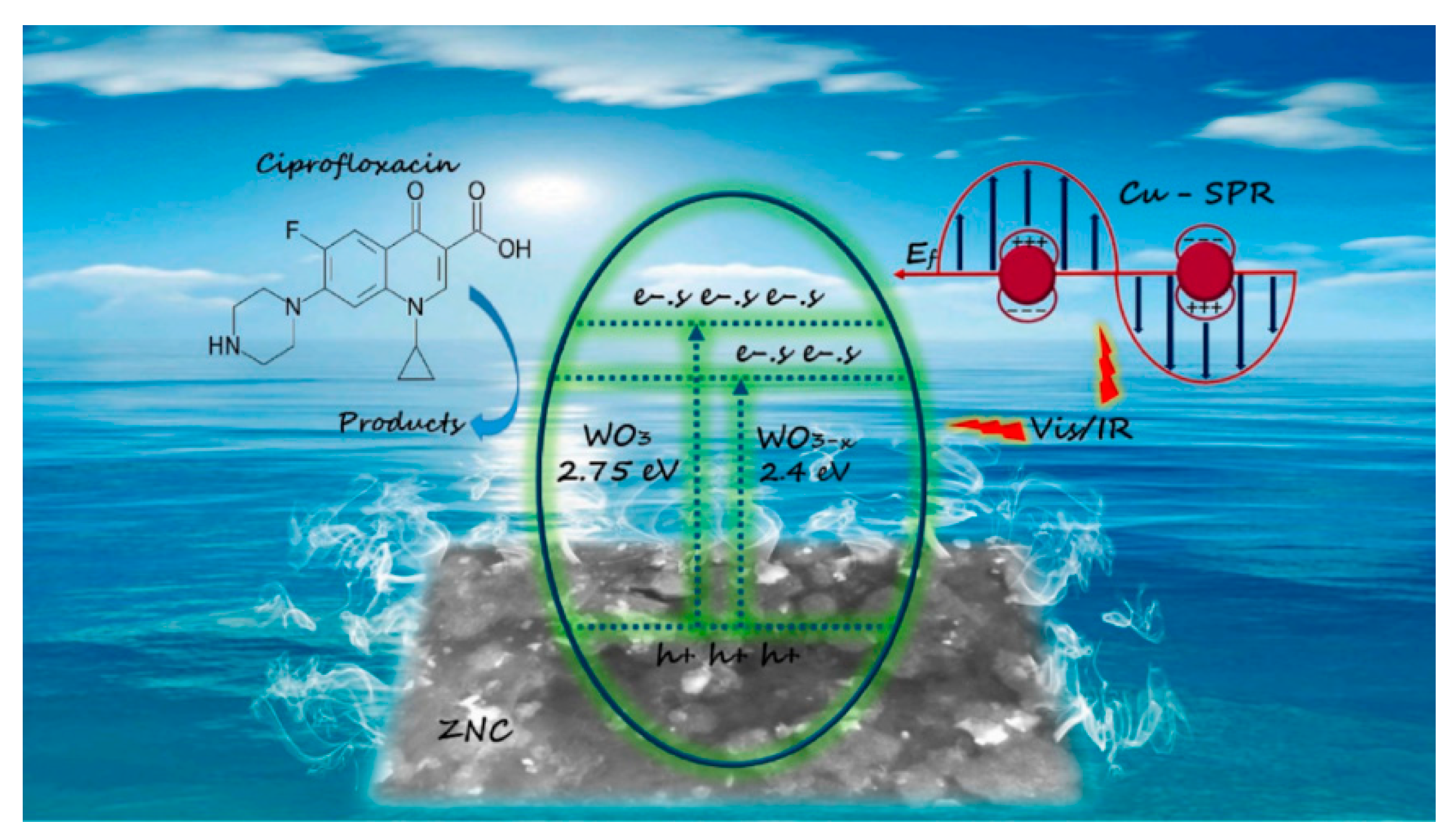 Catalysts 15 00158 g005 Catalysts 15 00158 g005