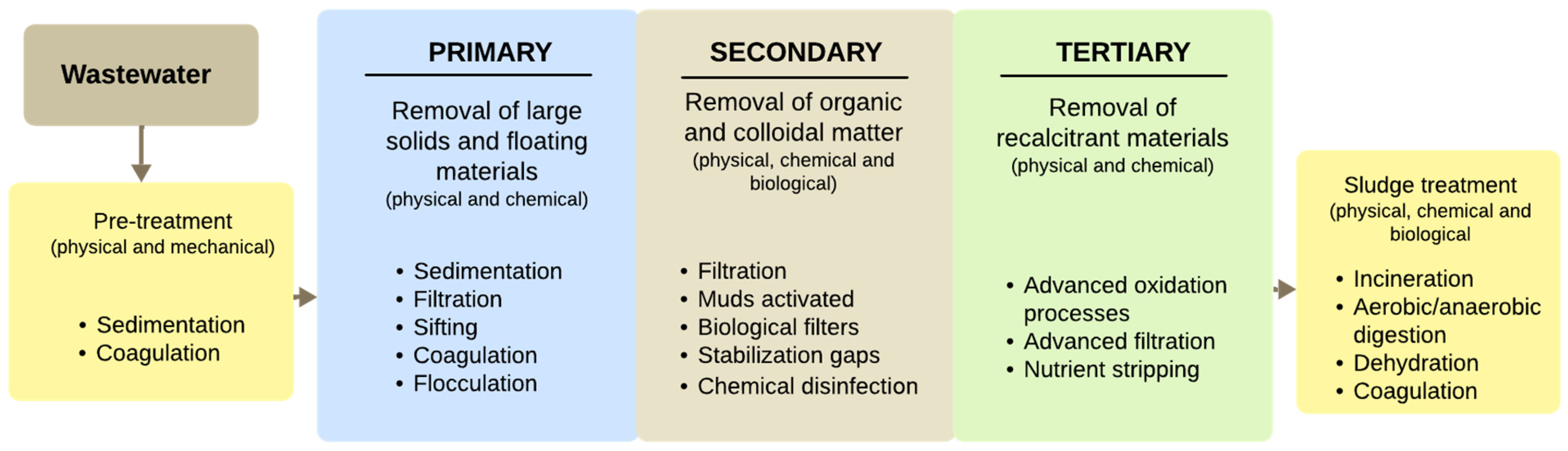 Catalysts 15 00159 g002