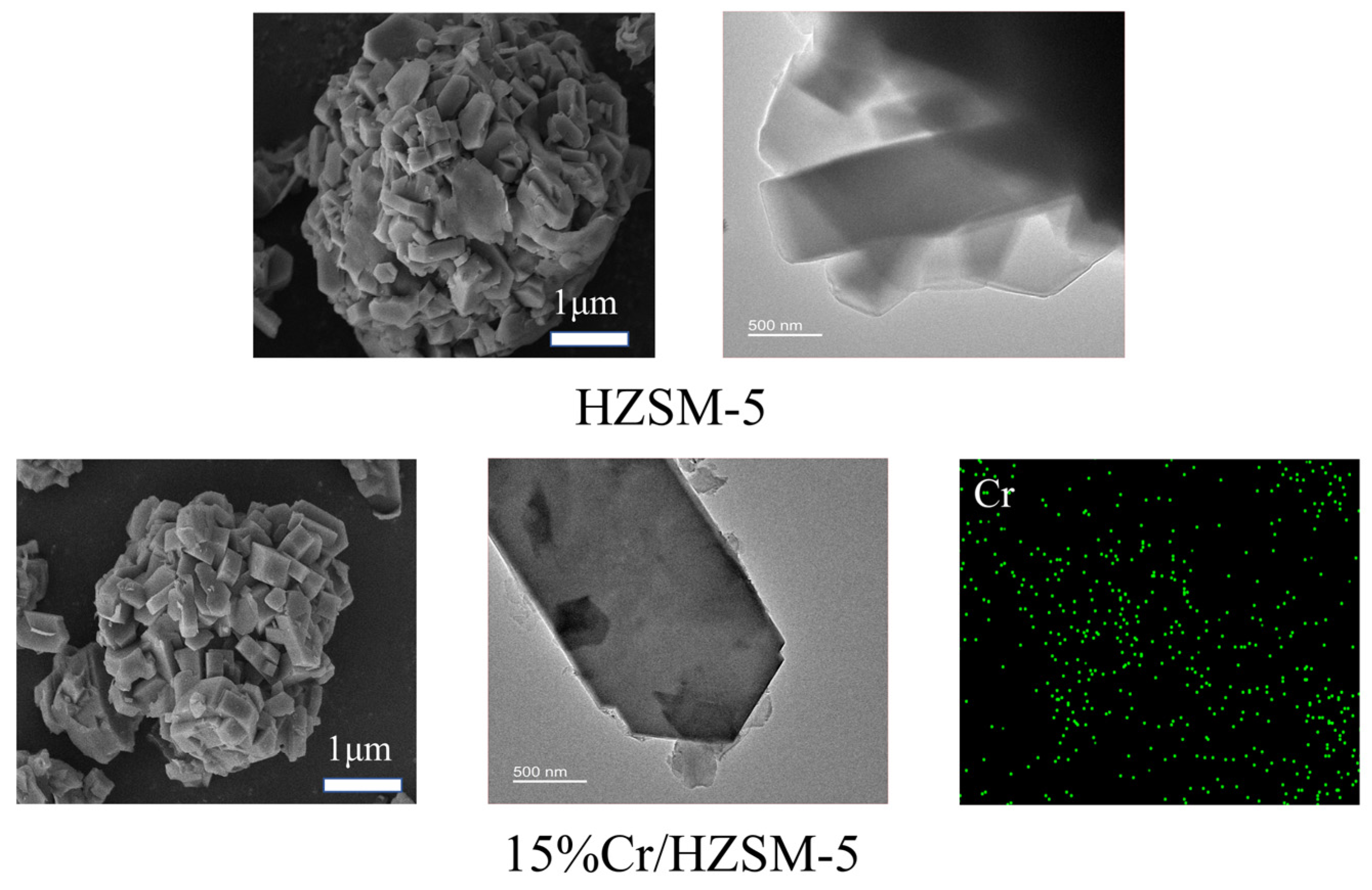 Catalysts 15 00162 g003