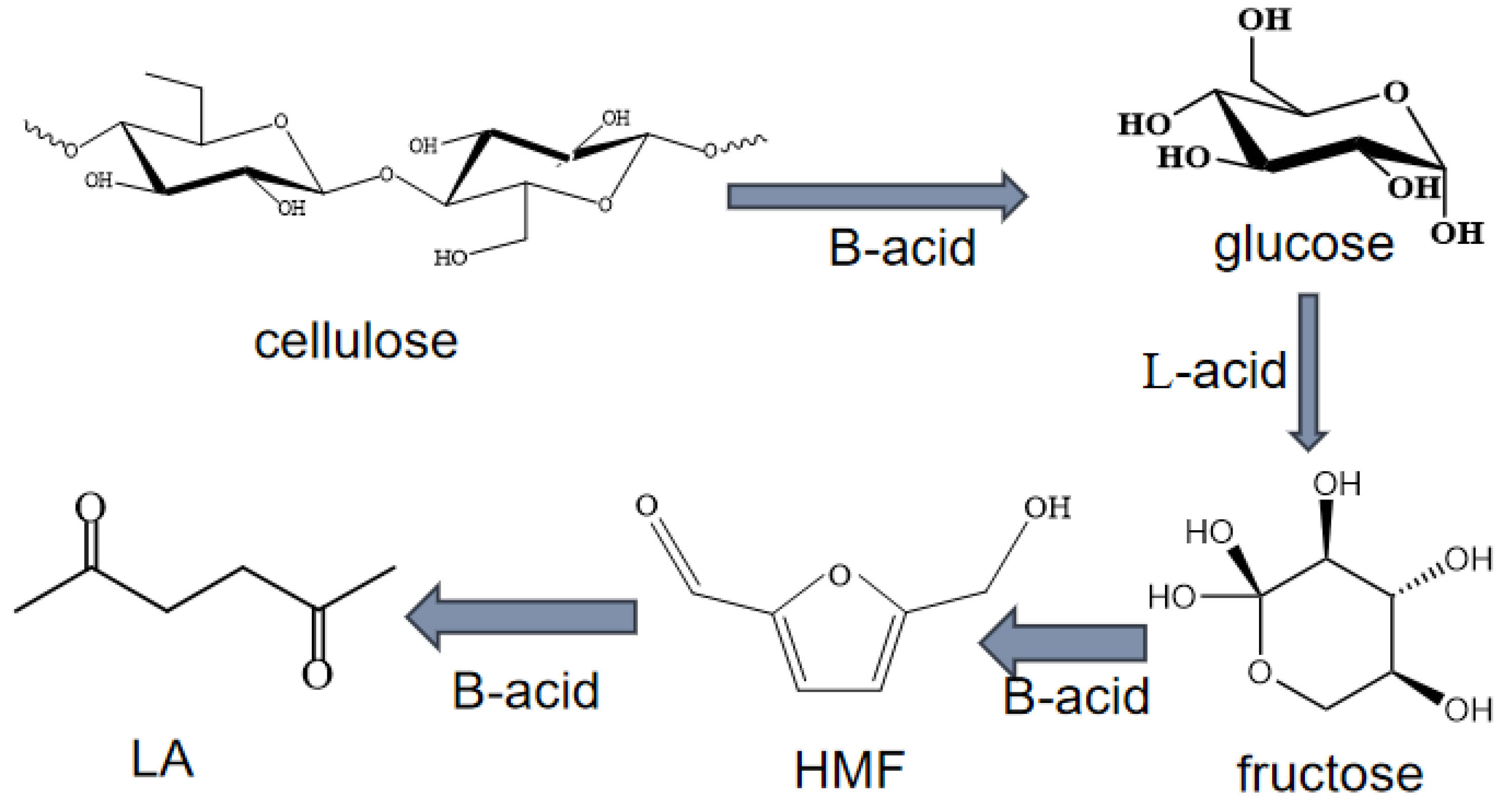 Catalysts 15 00162 g006