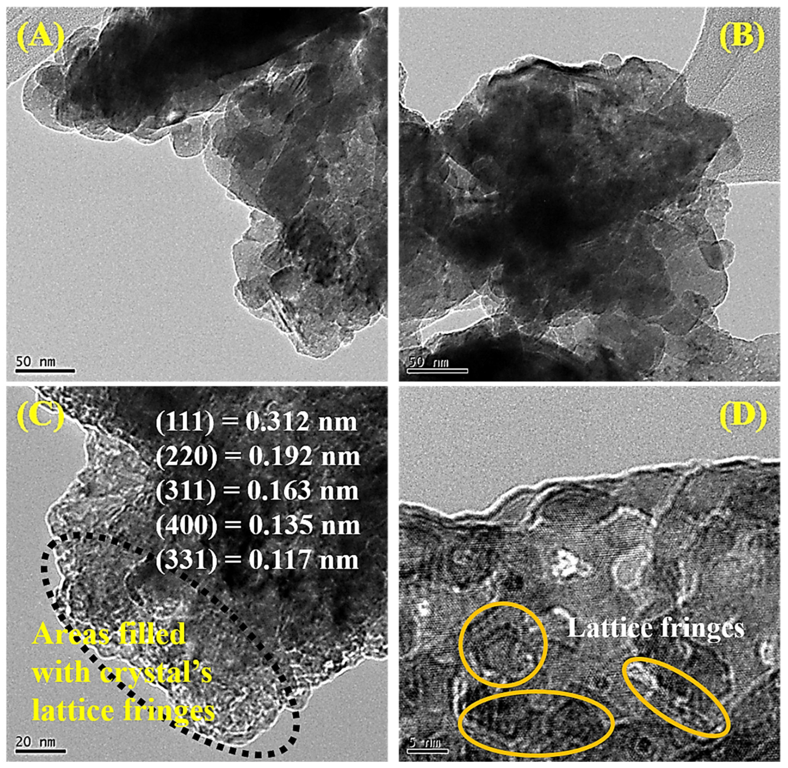 Catalysts 15 00165 g005