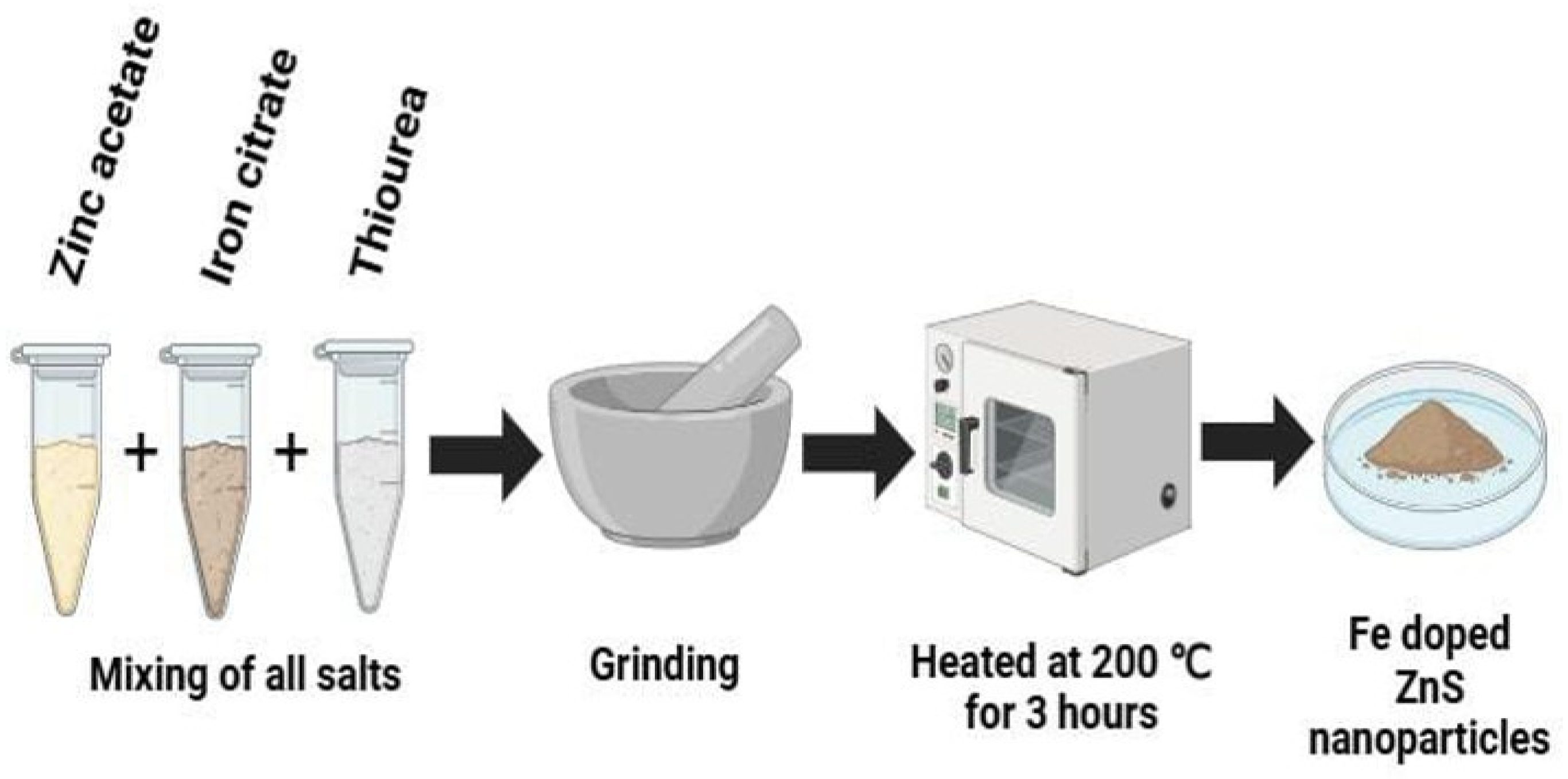 Catalysts 15 00165 sch001