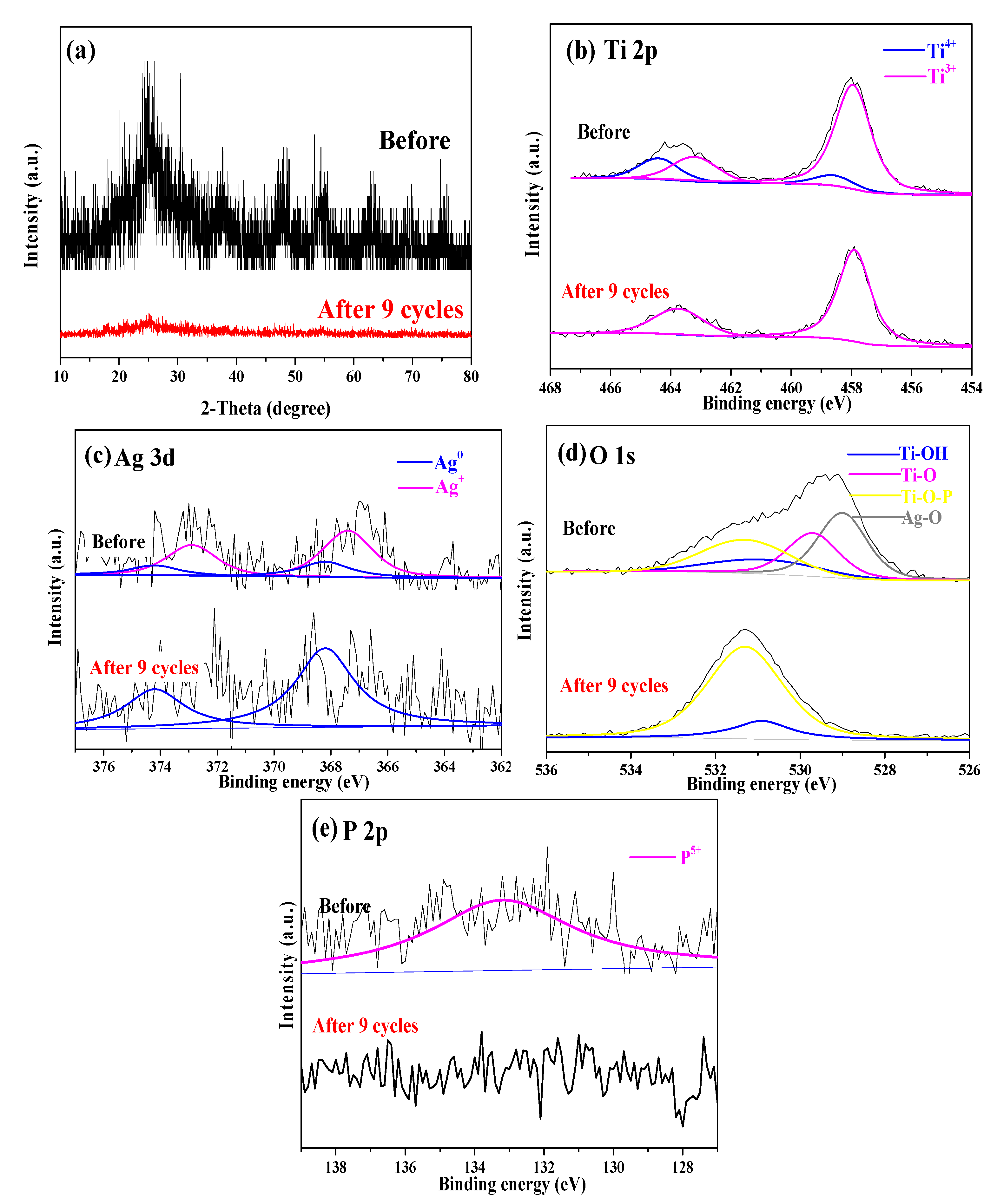 Catalysts 15 00167 g011