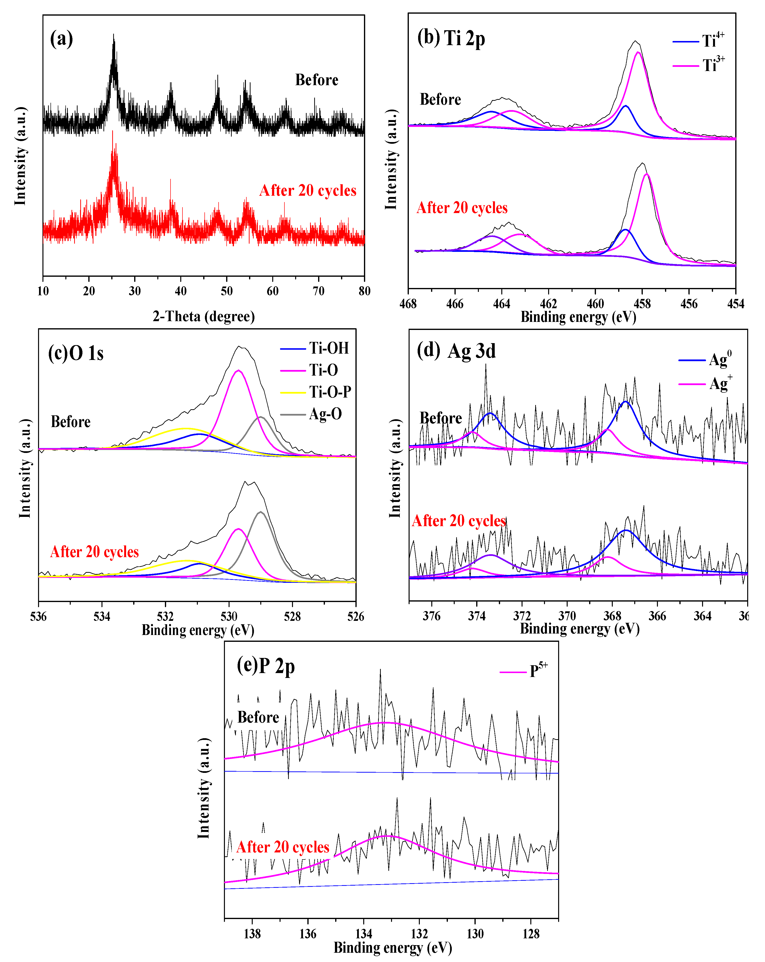 Catalysts 15 00167 g012