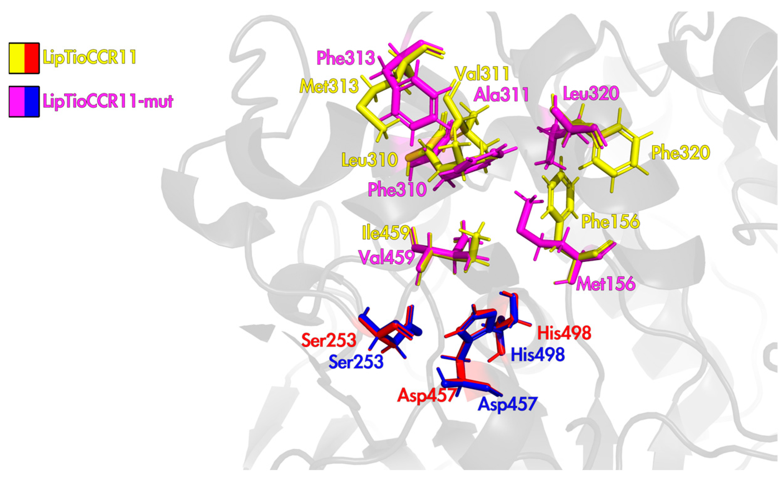 Catalysts 15 00168 g002