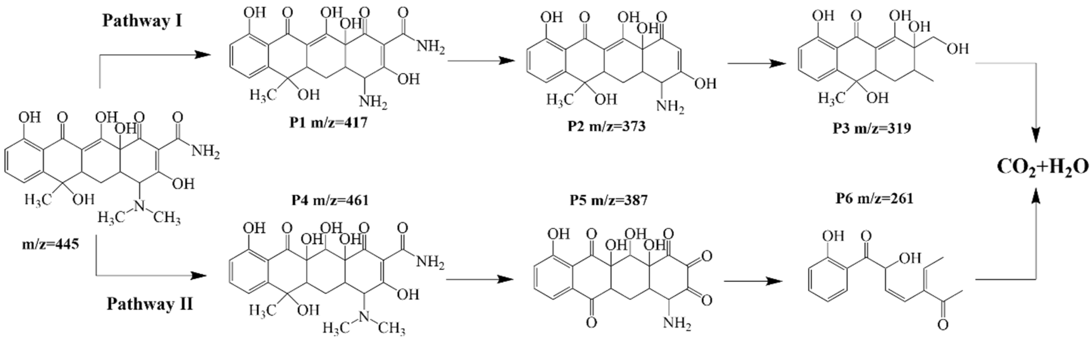 Catalysts 15 00169 g009