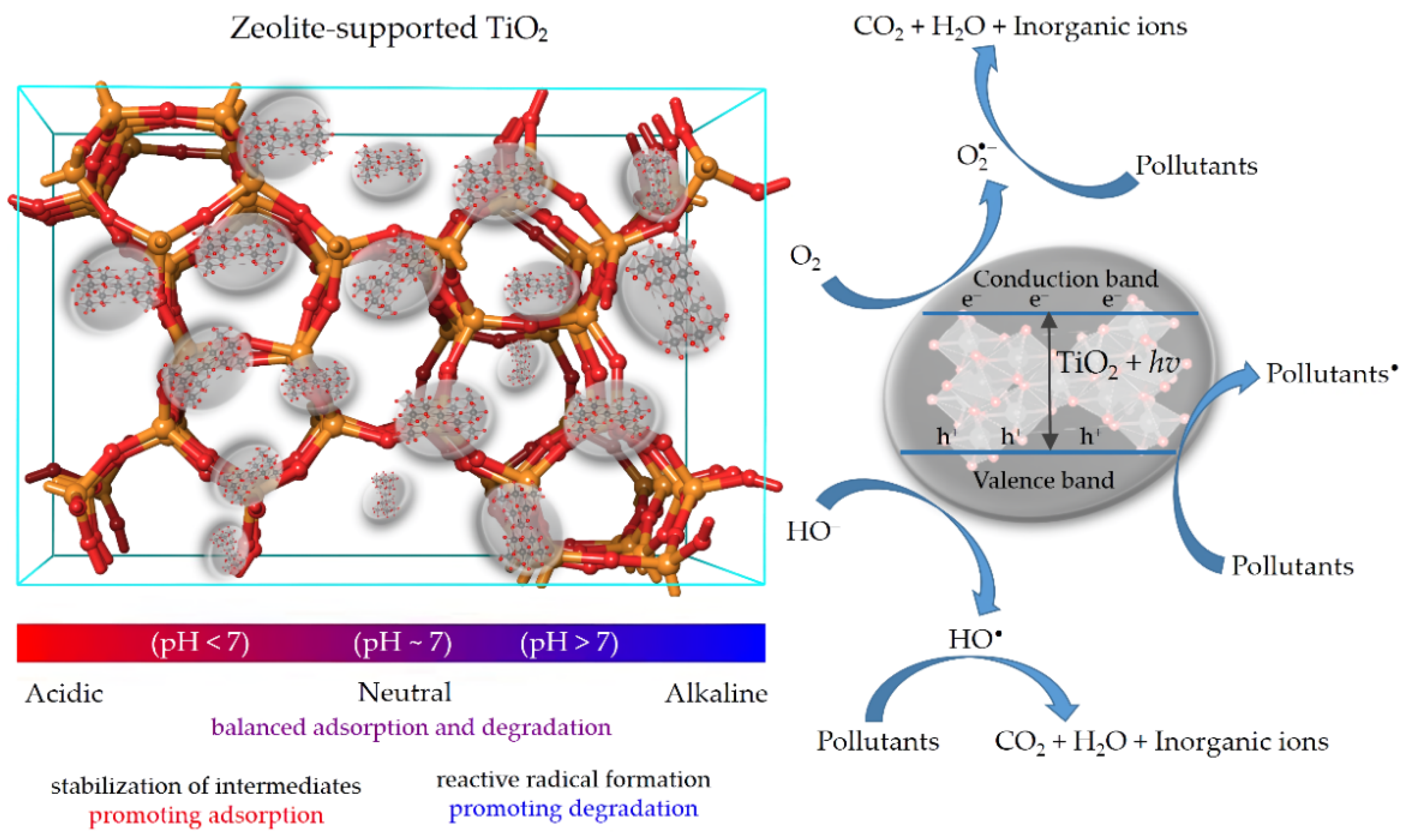 Catalysts 15 00174 g001