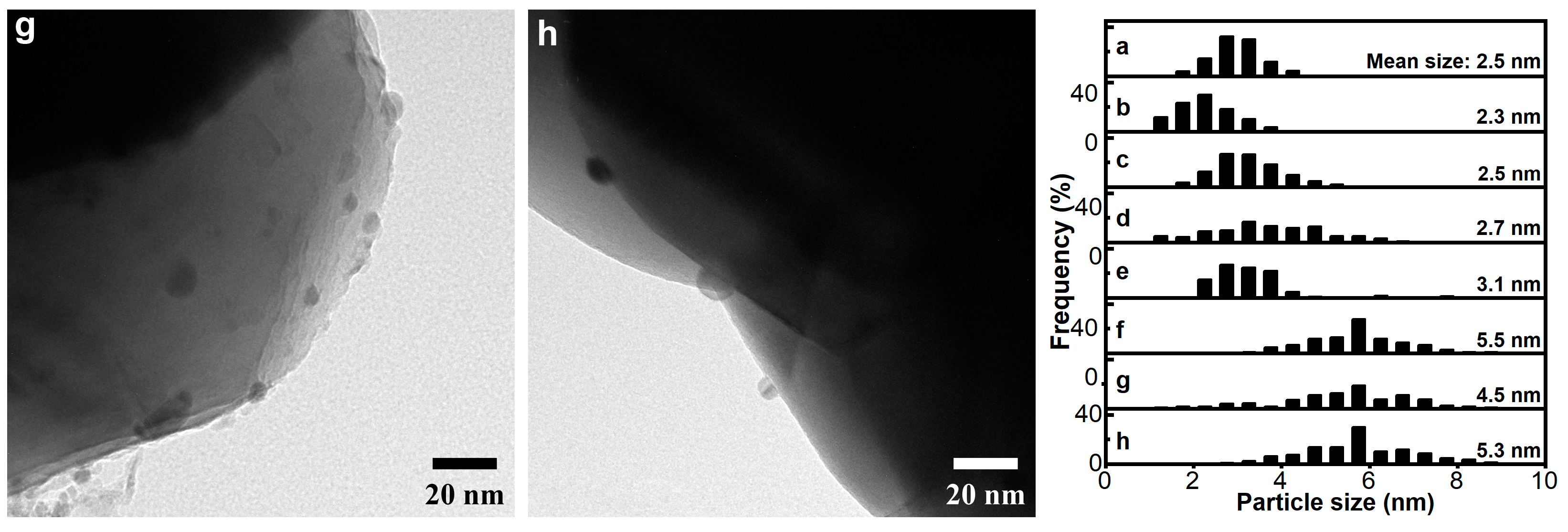 Catalysts 15 00176 g002b