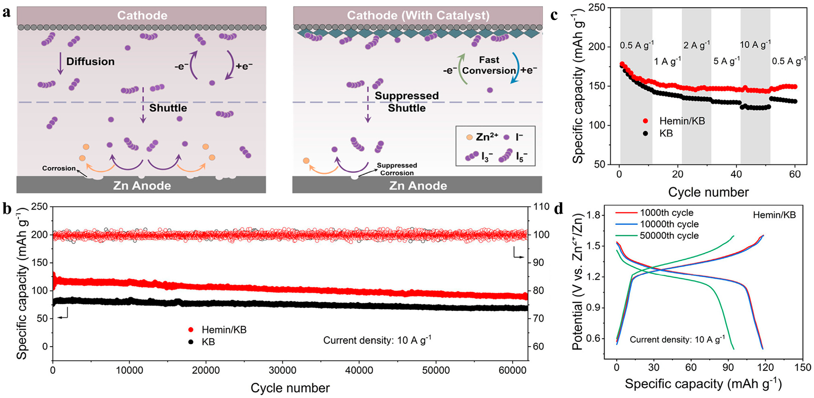 Catalysts 15 00178 g005