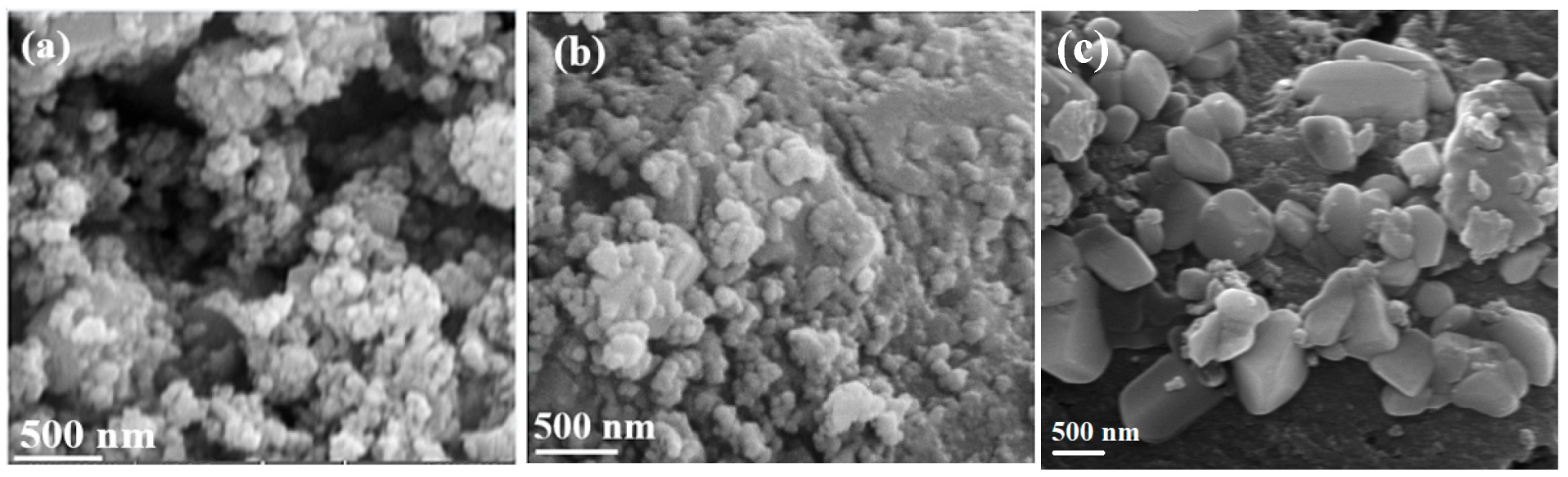 Catalysts 15 00182 g001