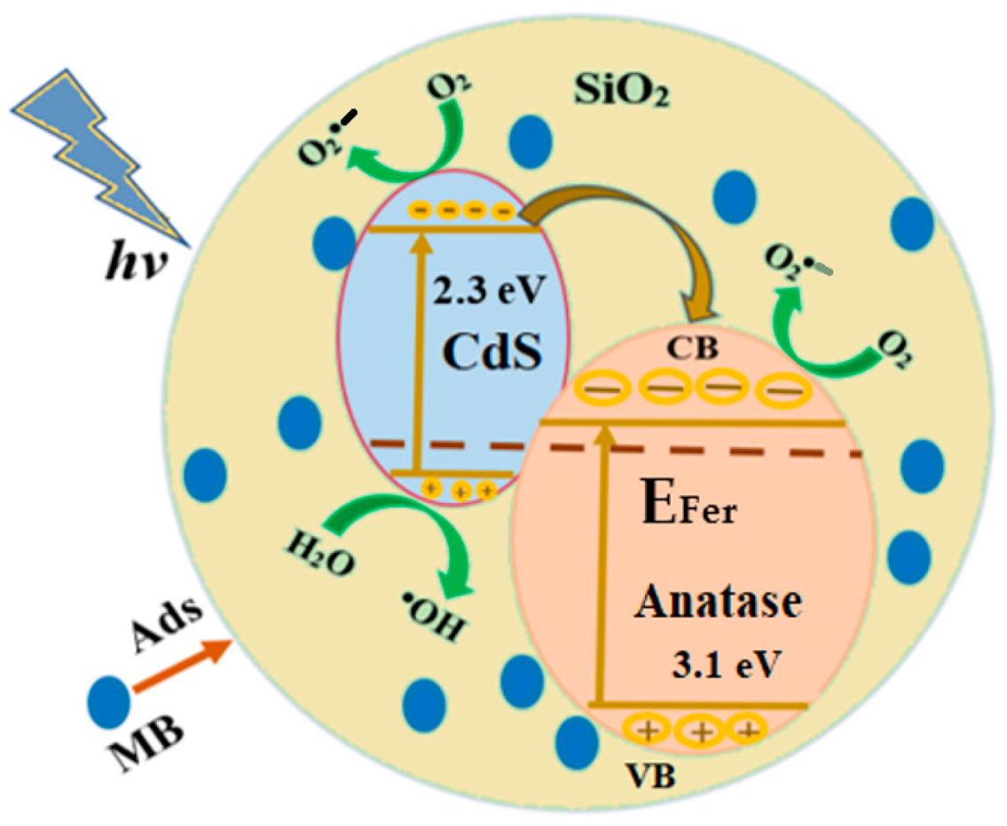 Catalysts 15 00182 g013