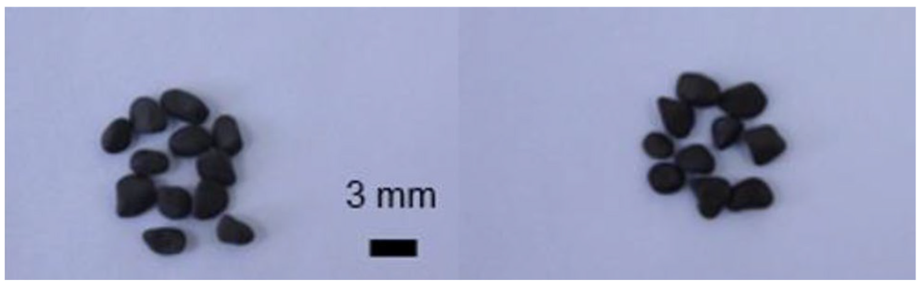 Catalysts 15 00183 g002