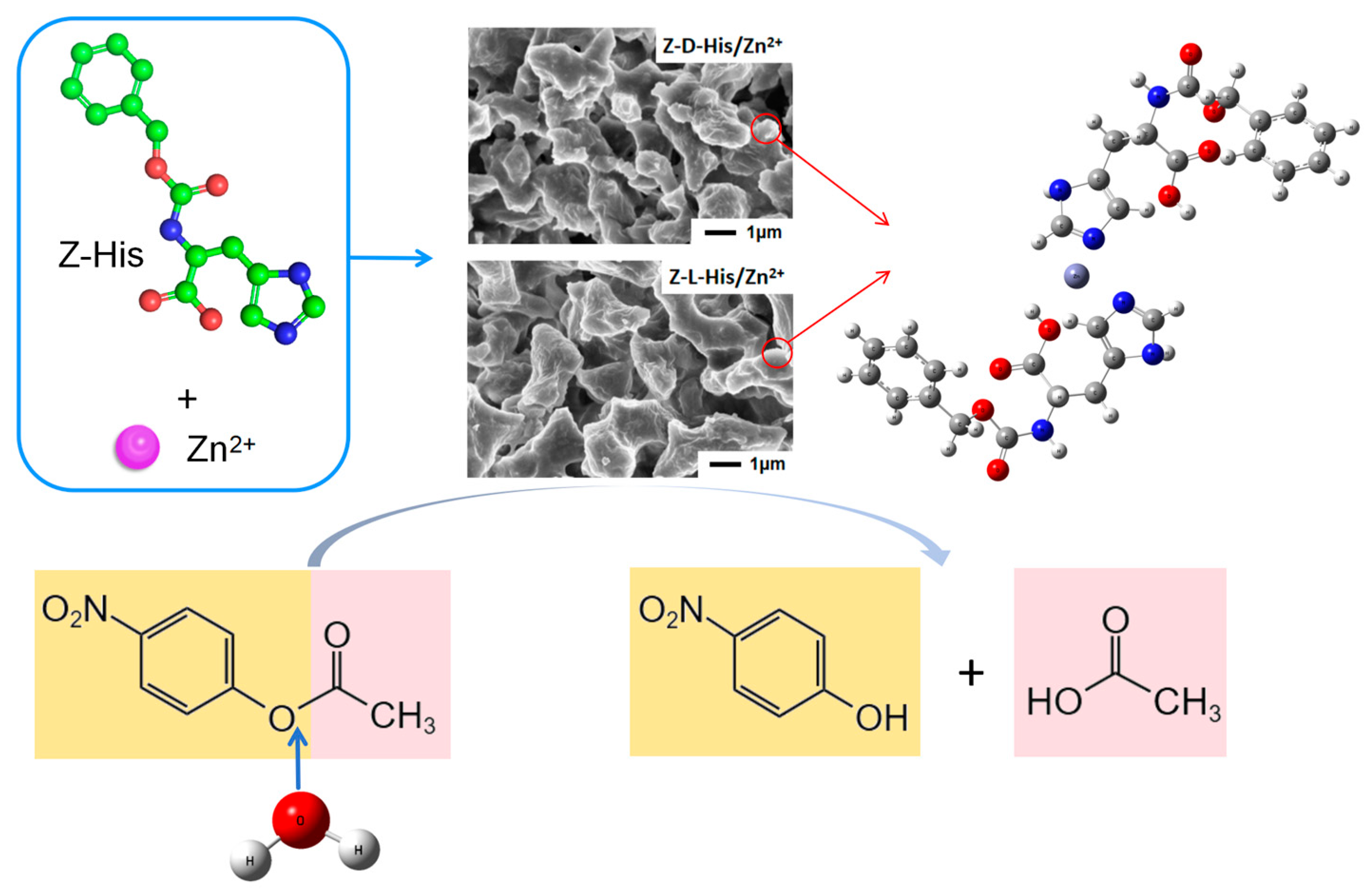 Catalysts 15 00185 g001
