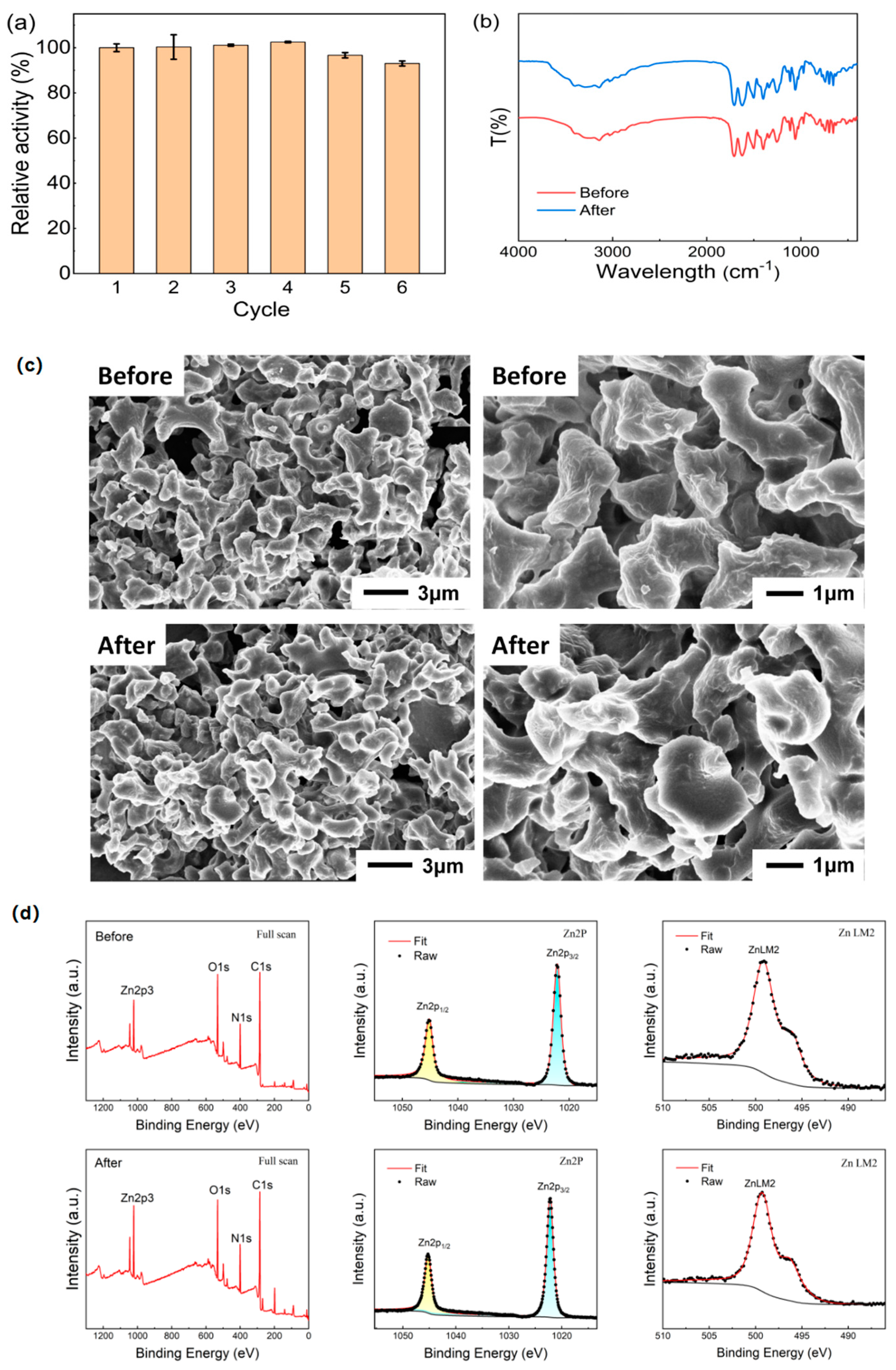 Catalysts 15 00185 g011