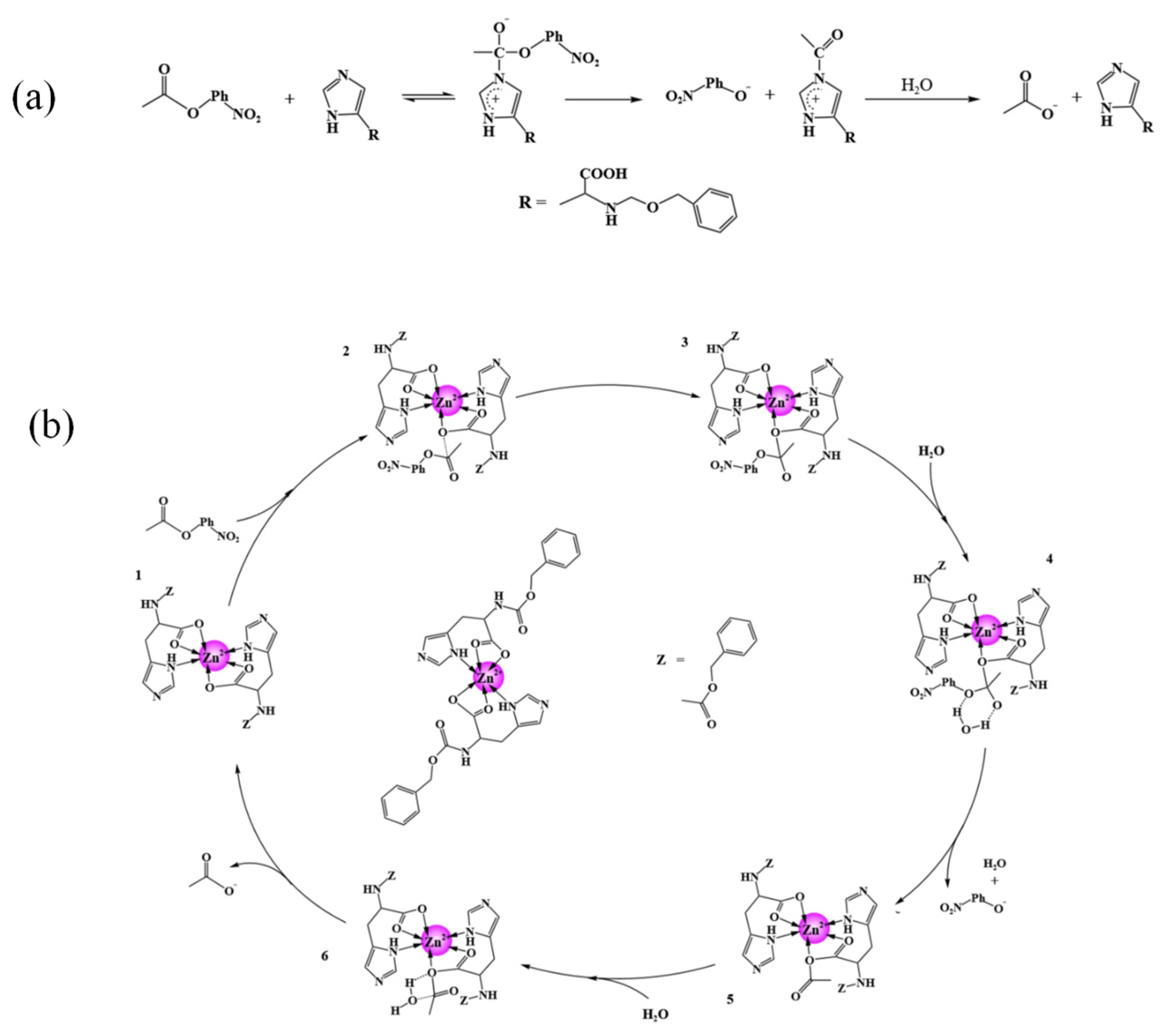 Catalysts 15 00185 g012