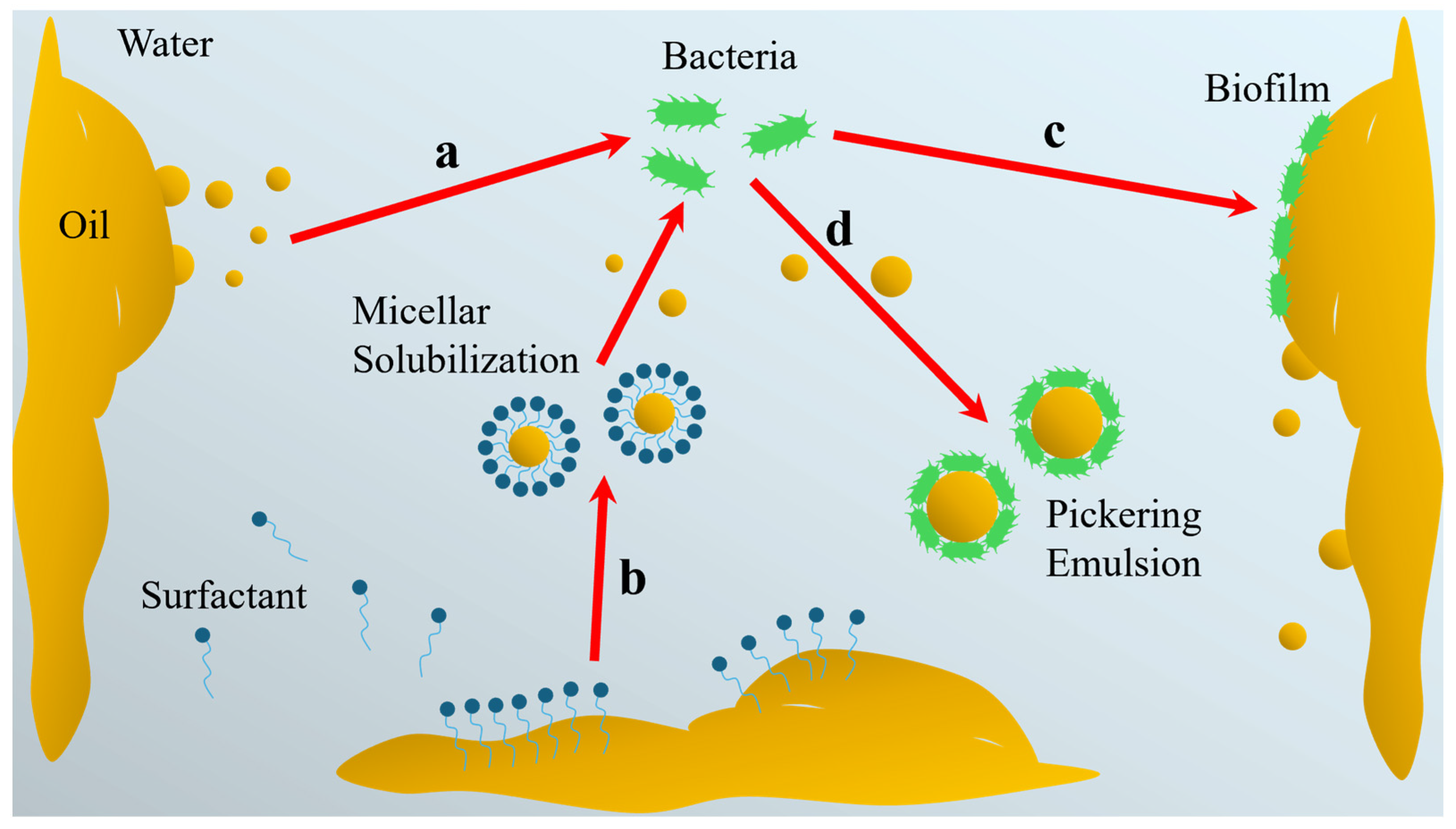 Catalysts 15 00187 g001