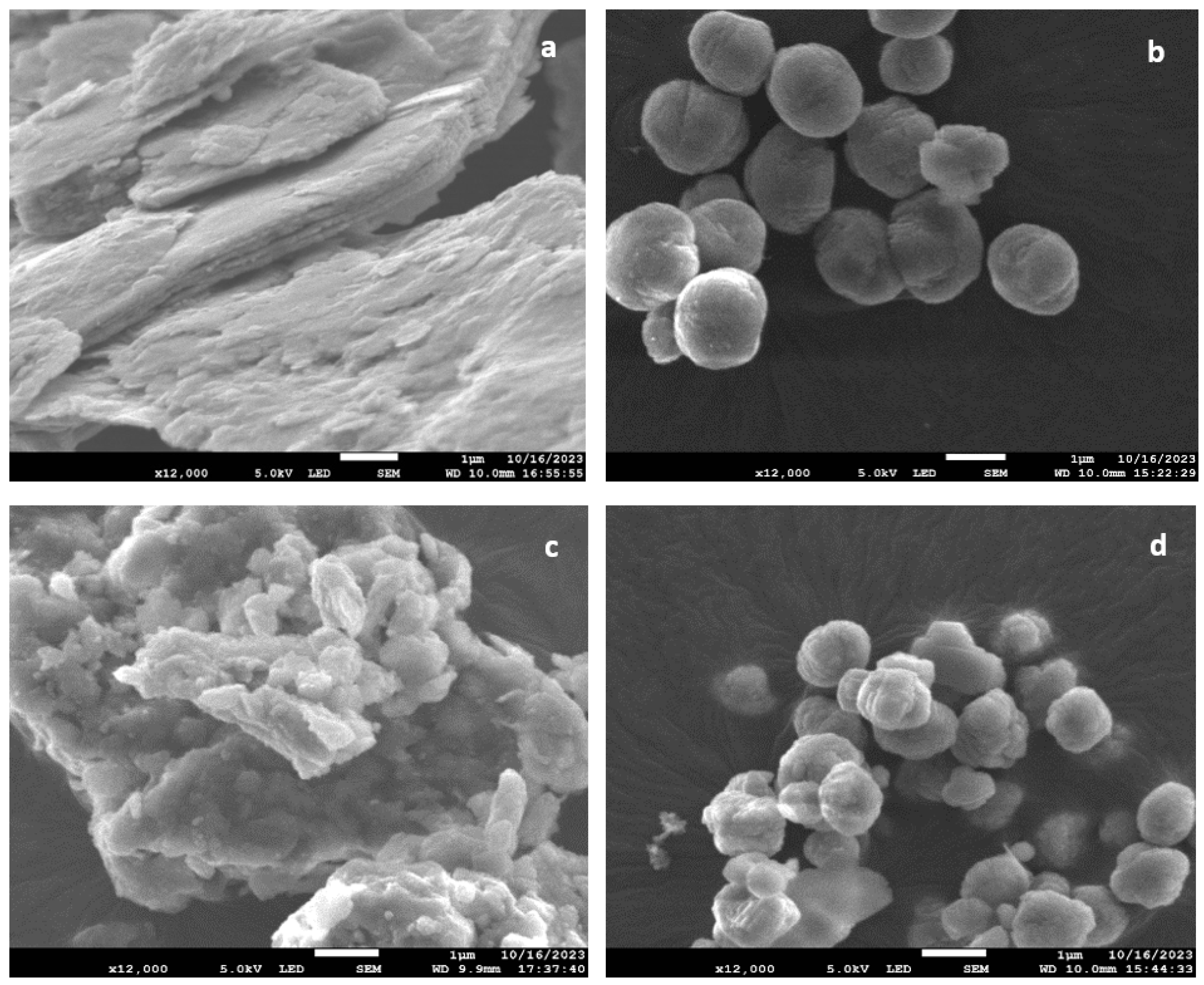 Catalysts 15 00188 g002