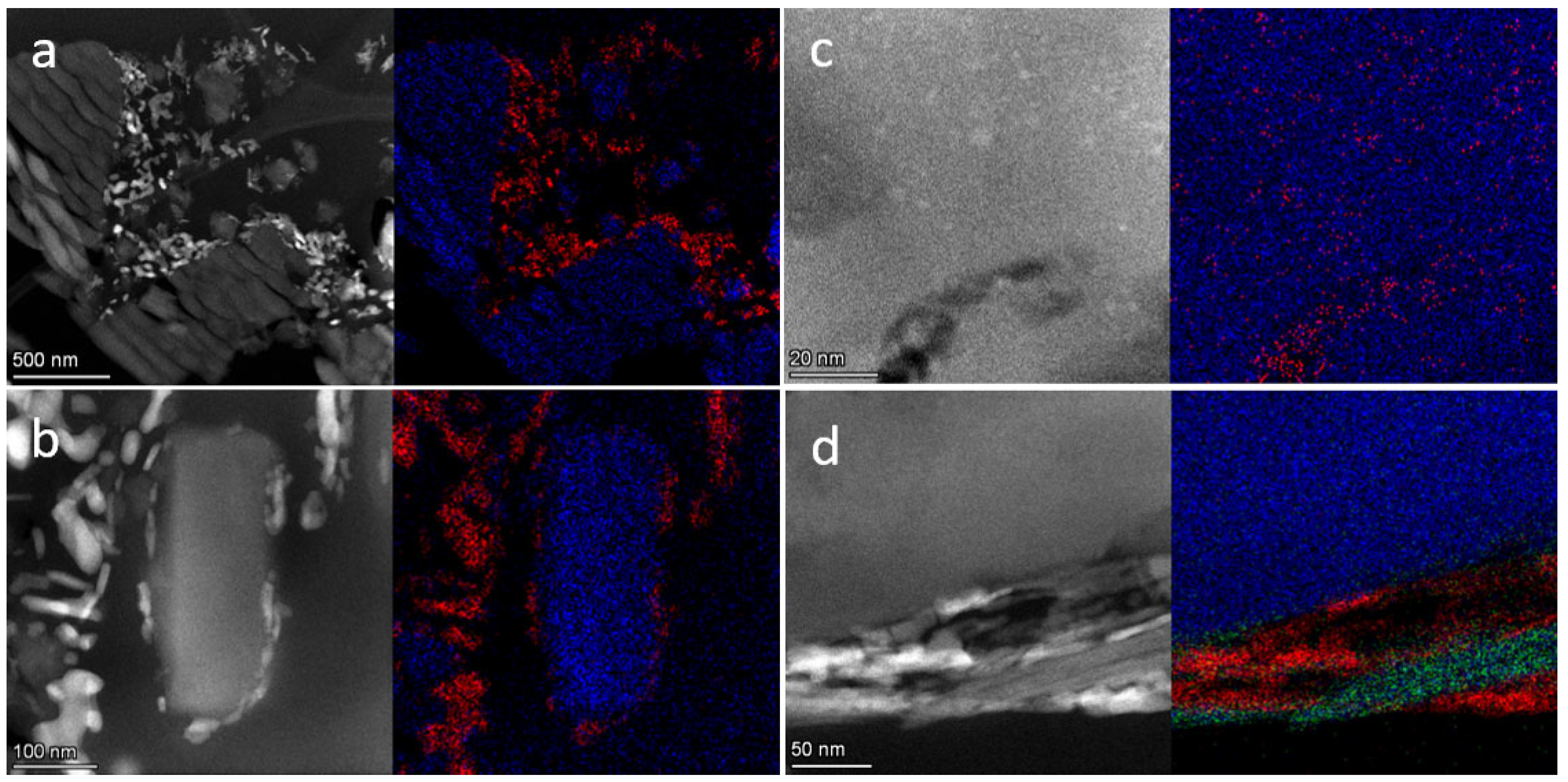 Catalysts 15 00188 g006