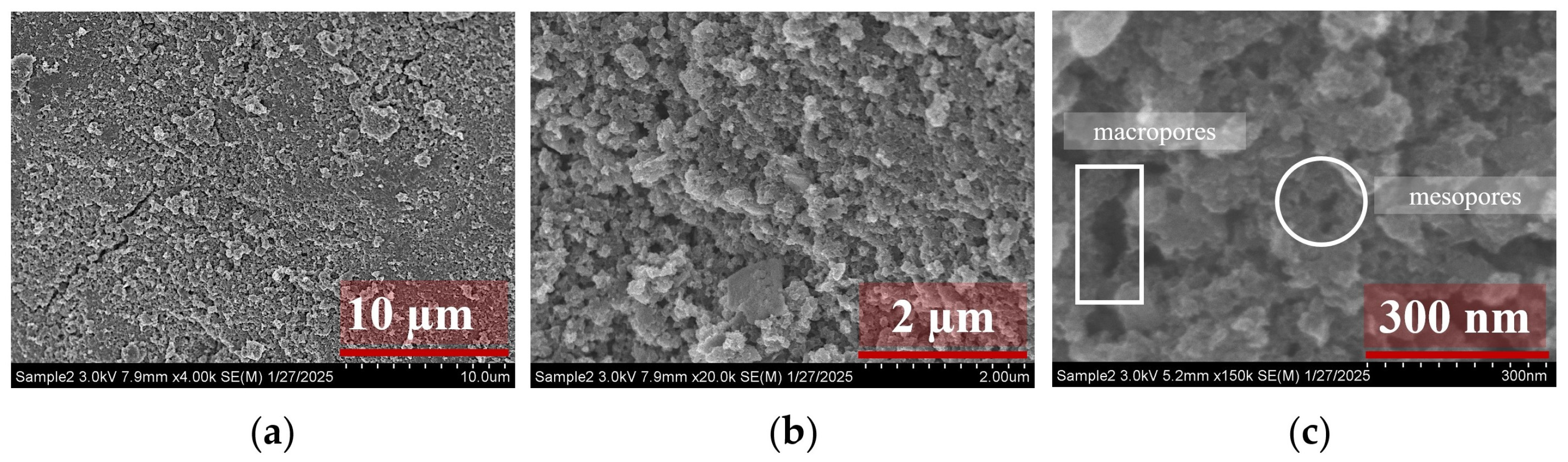 Catalysts 15 00189 g007