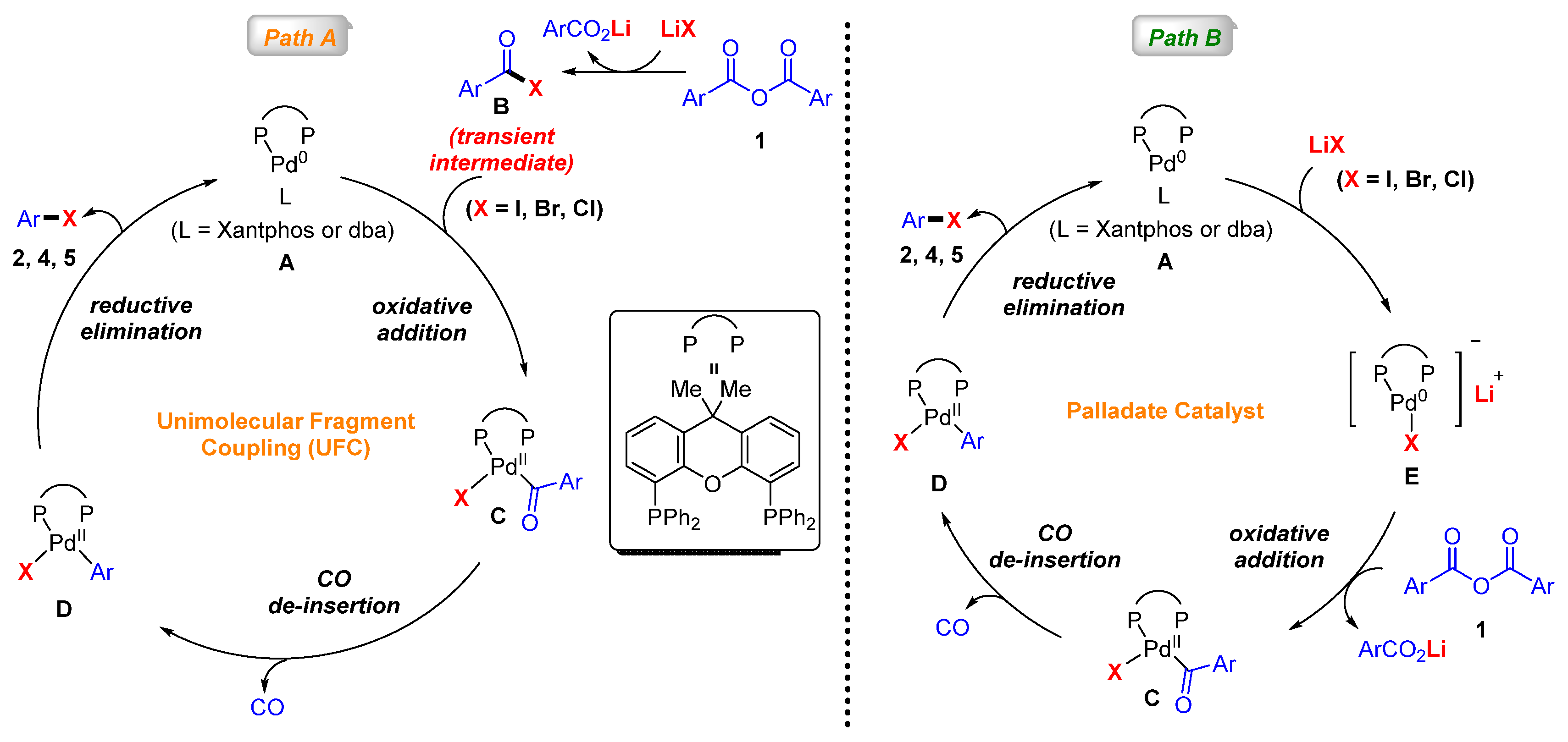 Catalysts 15 00191 g004