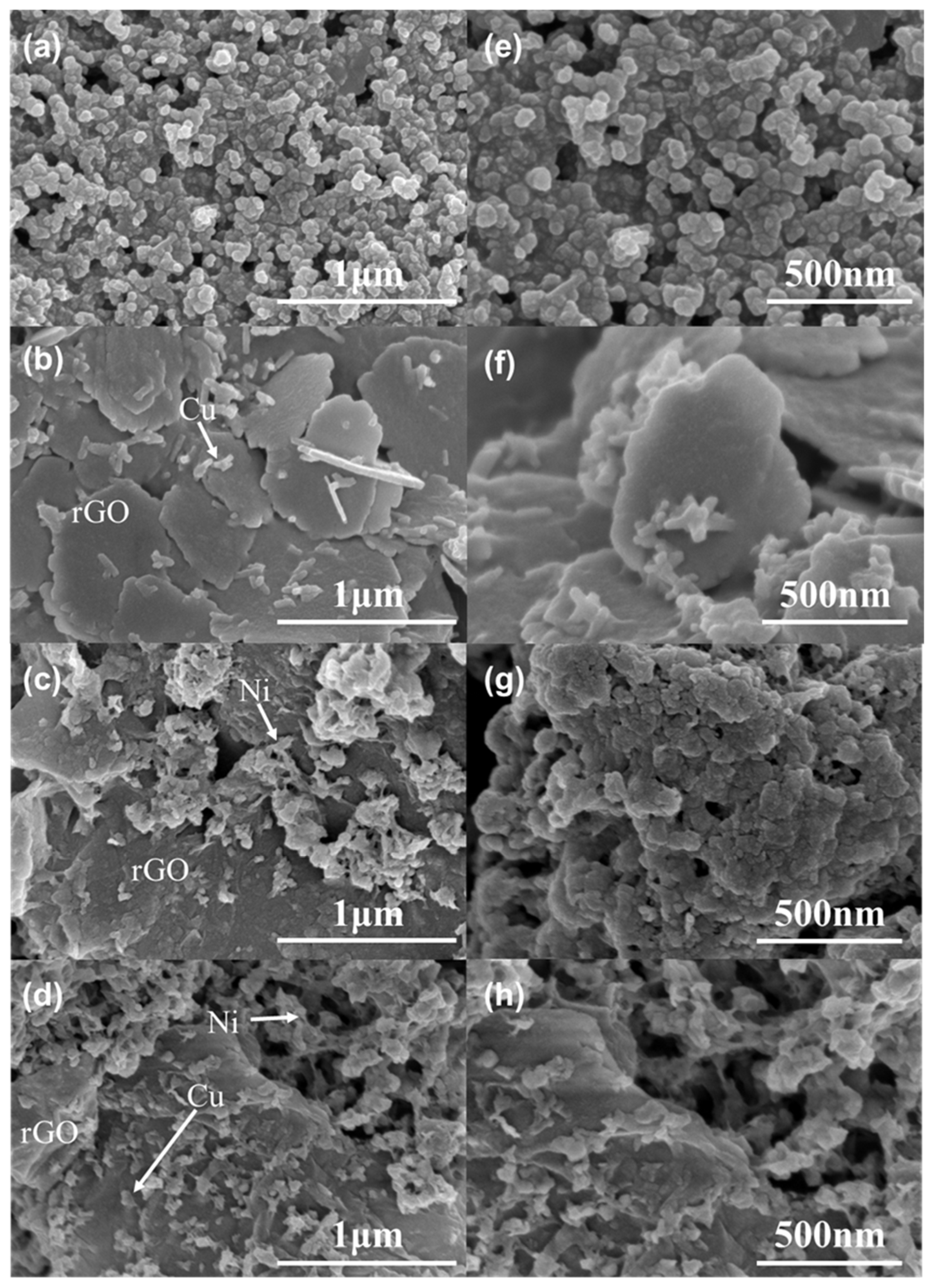Catalysts 15 00197 g001