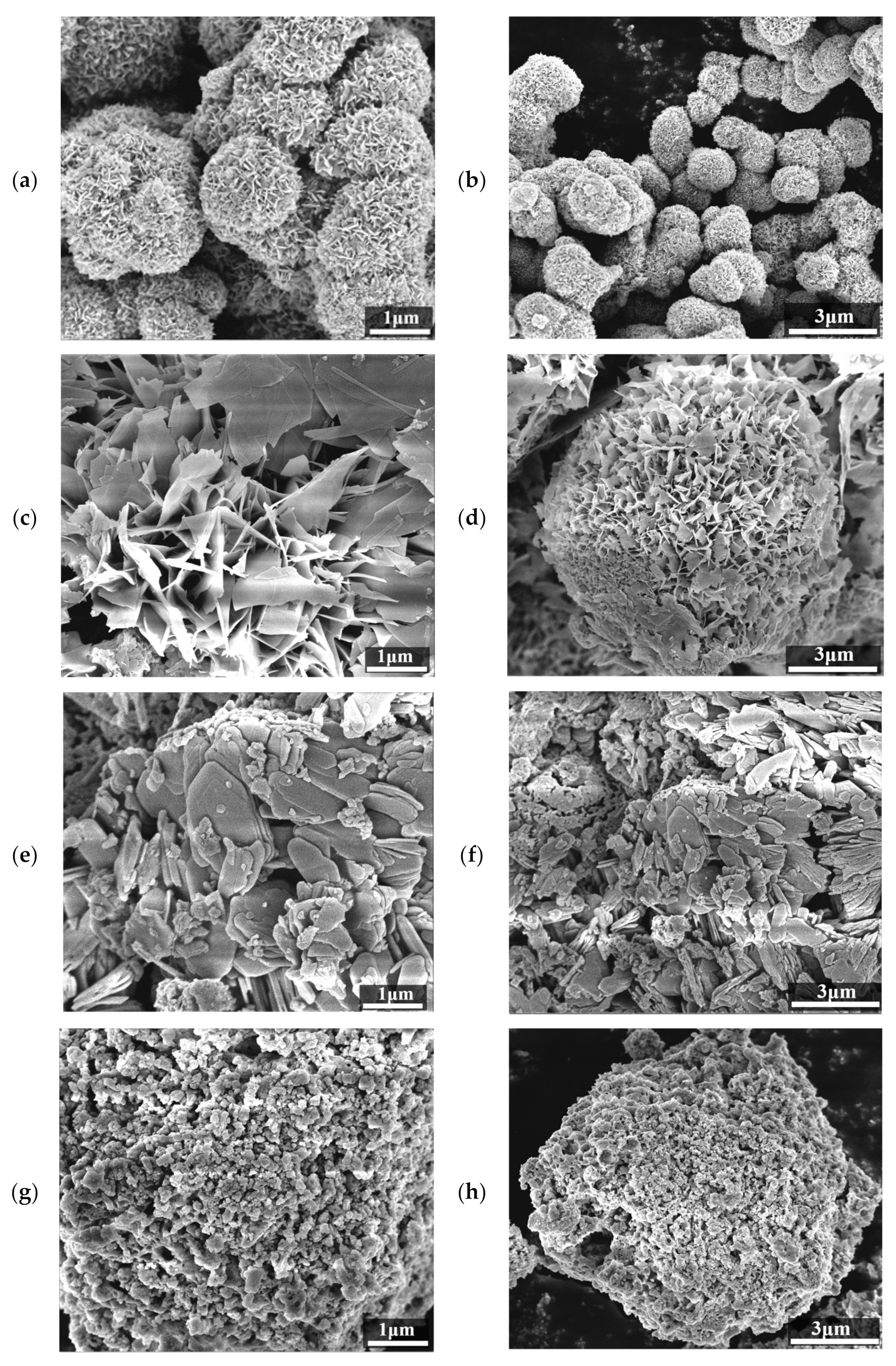 Catalysts 15 00198 g002a