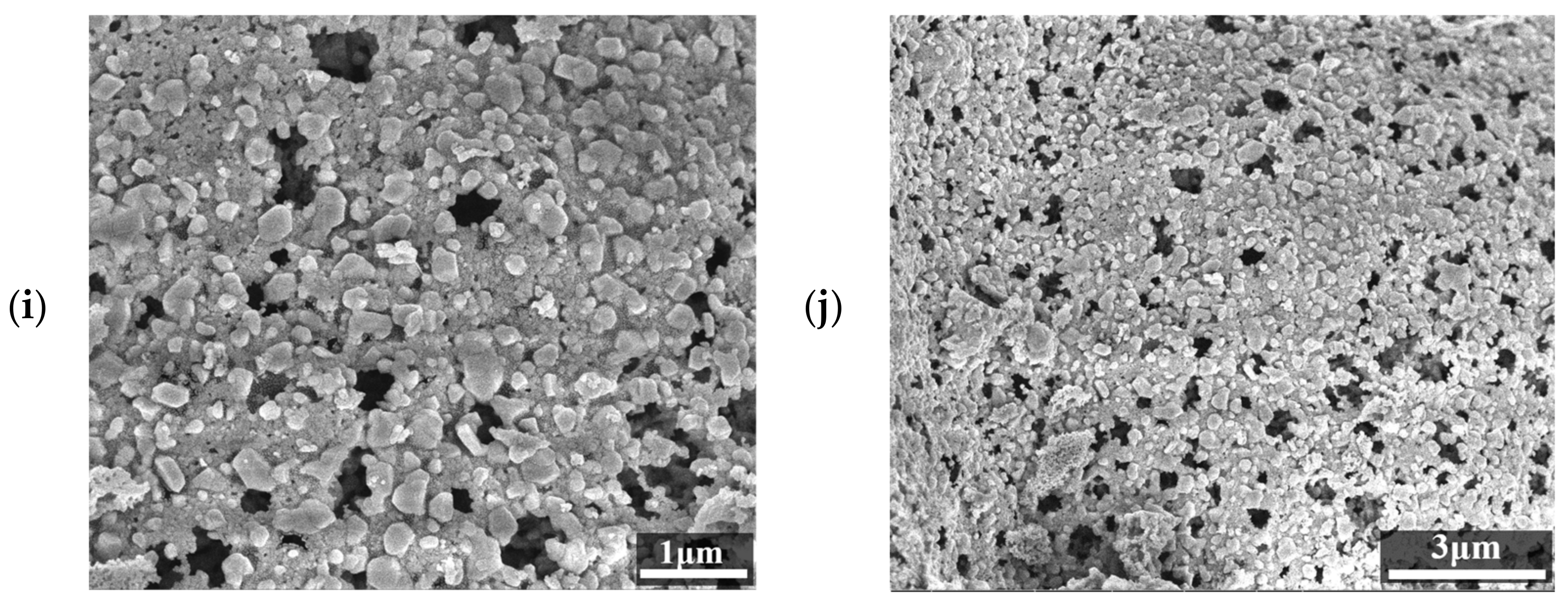 Catalysts 15 00198 g002b