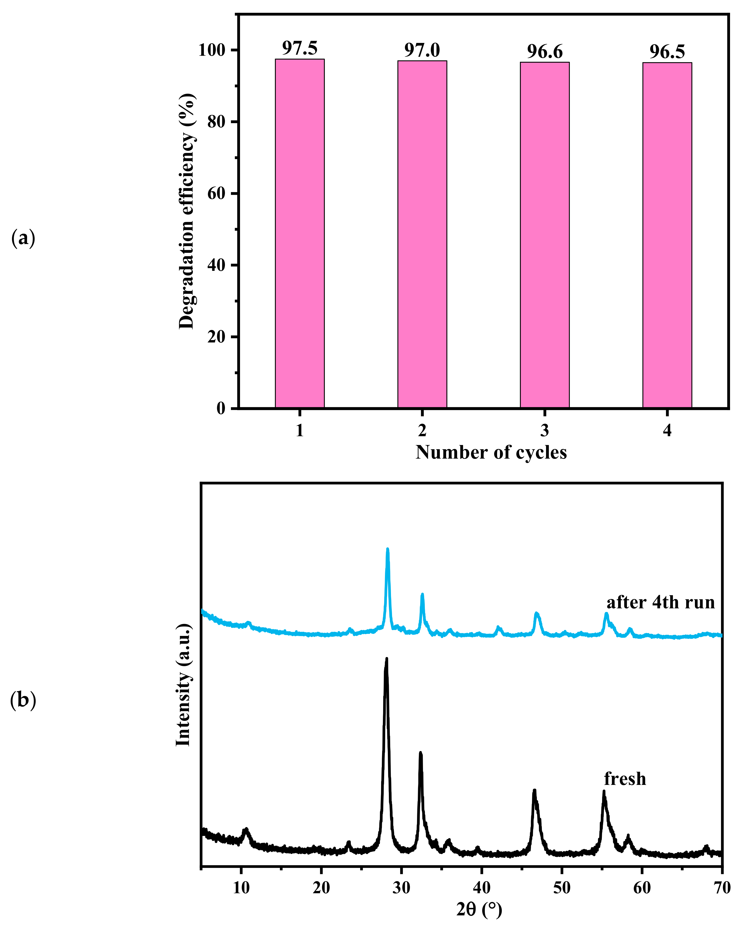 Catalysts 15 00198 g010